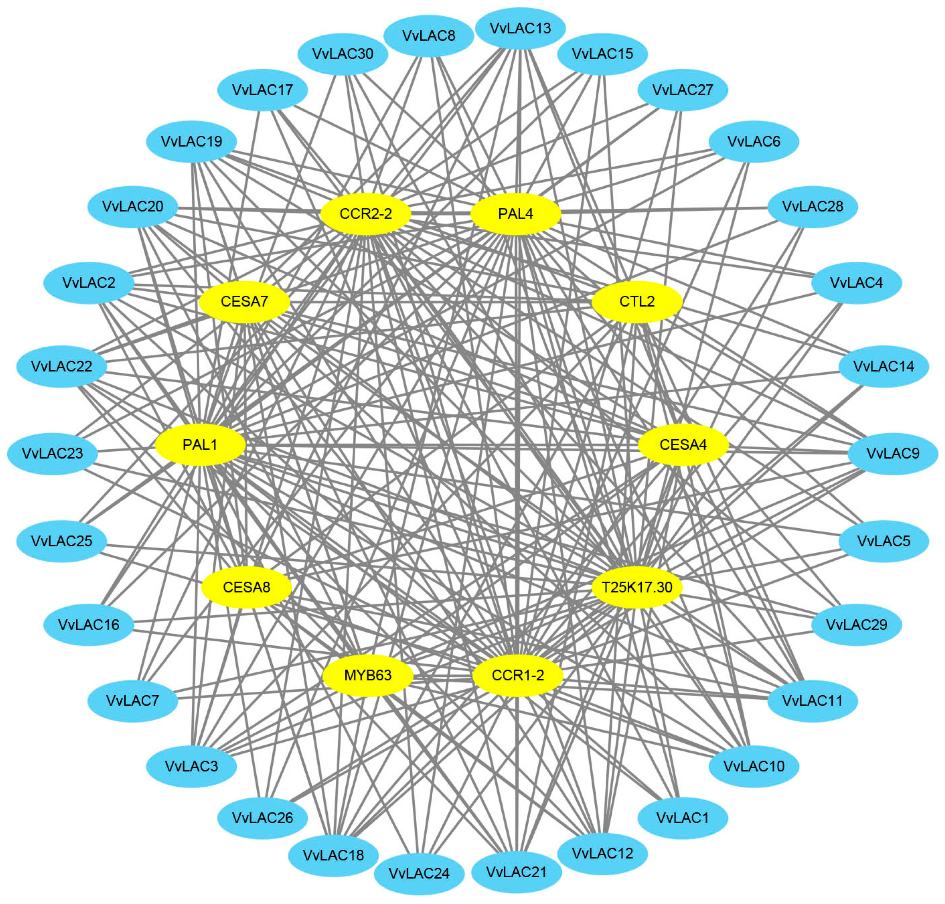 Horticulturae 10 00376 g007