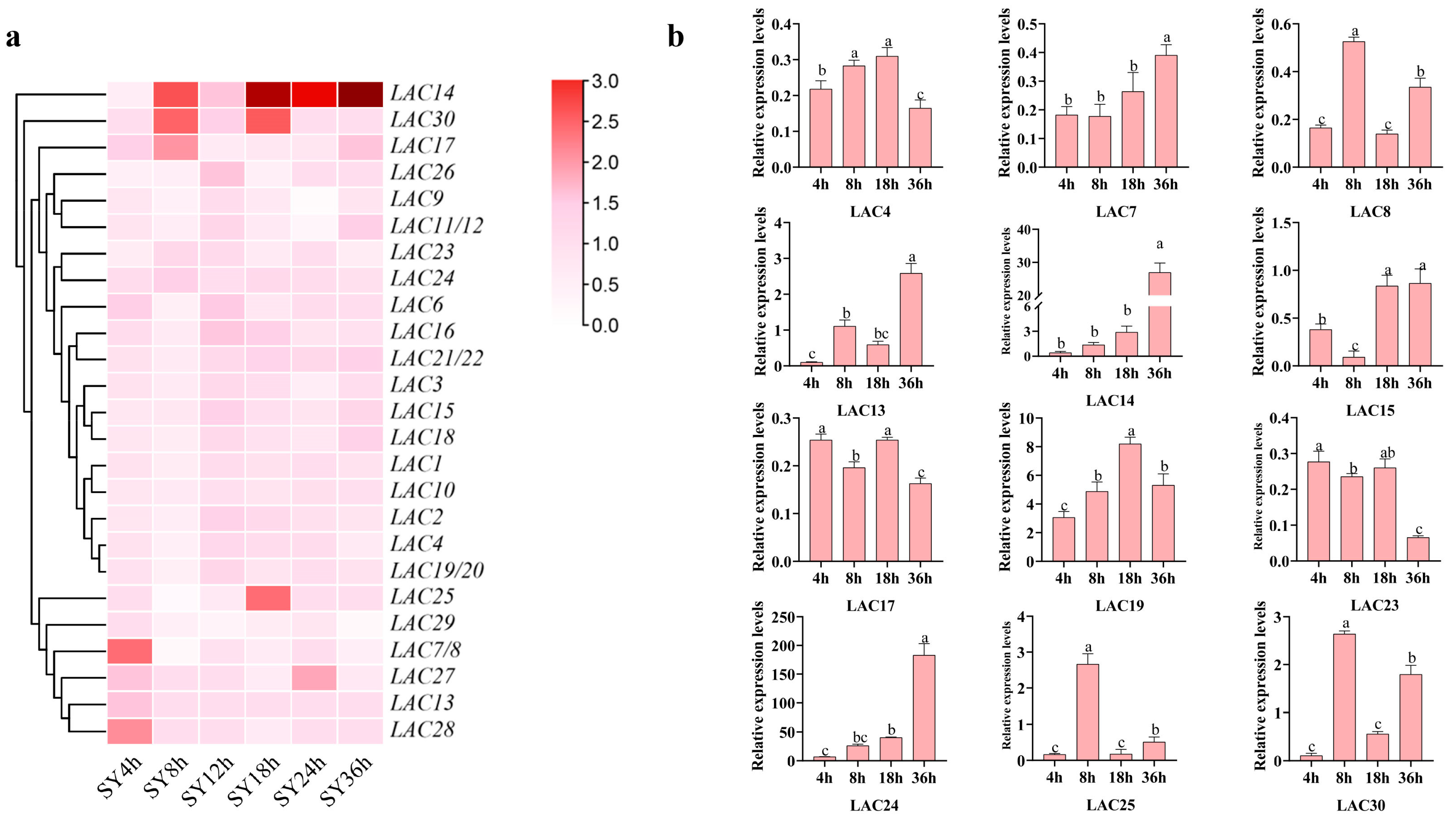 Horticulturae 10 00376 g008