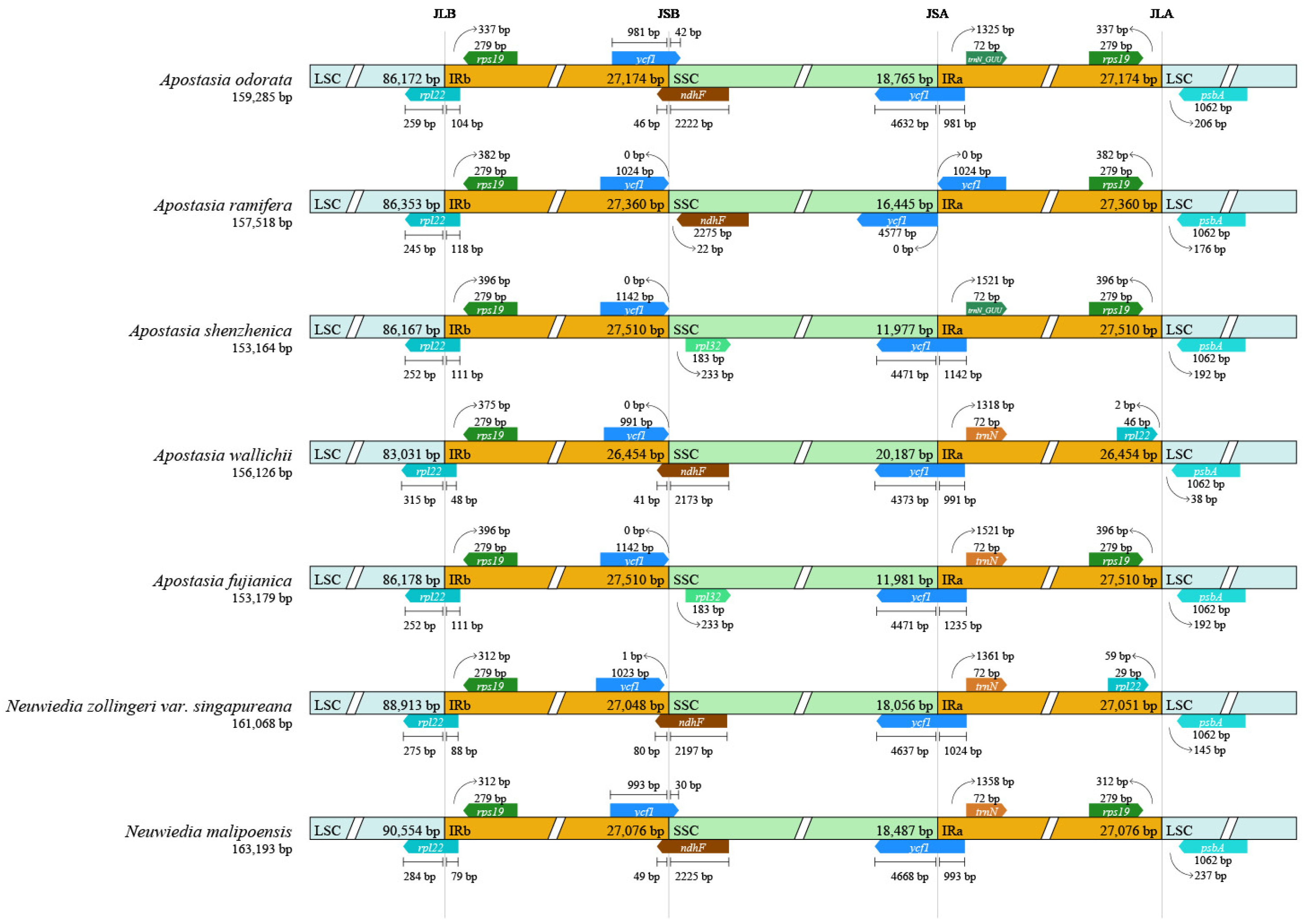 Horticulturae 10 00383 g002
