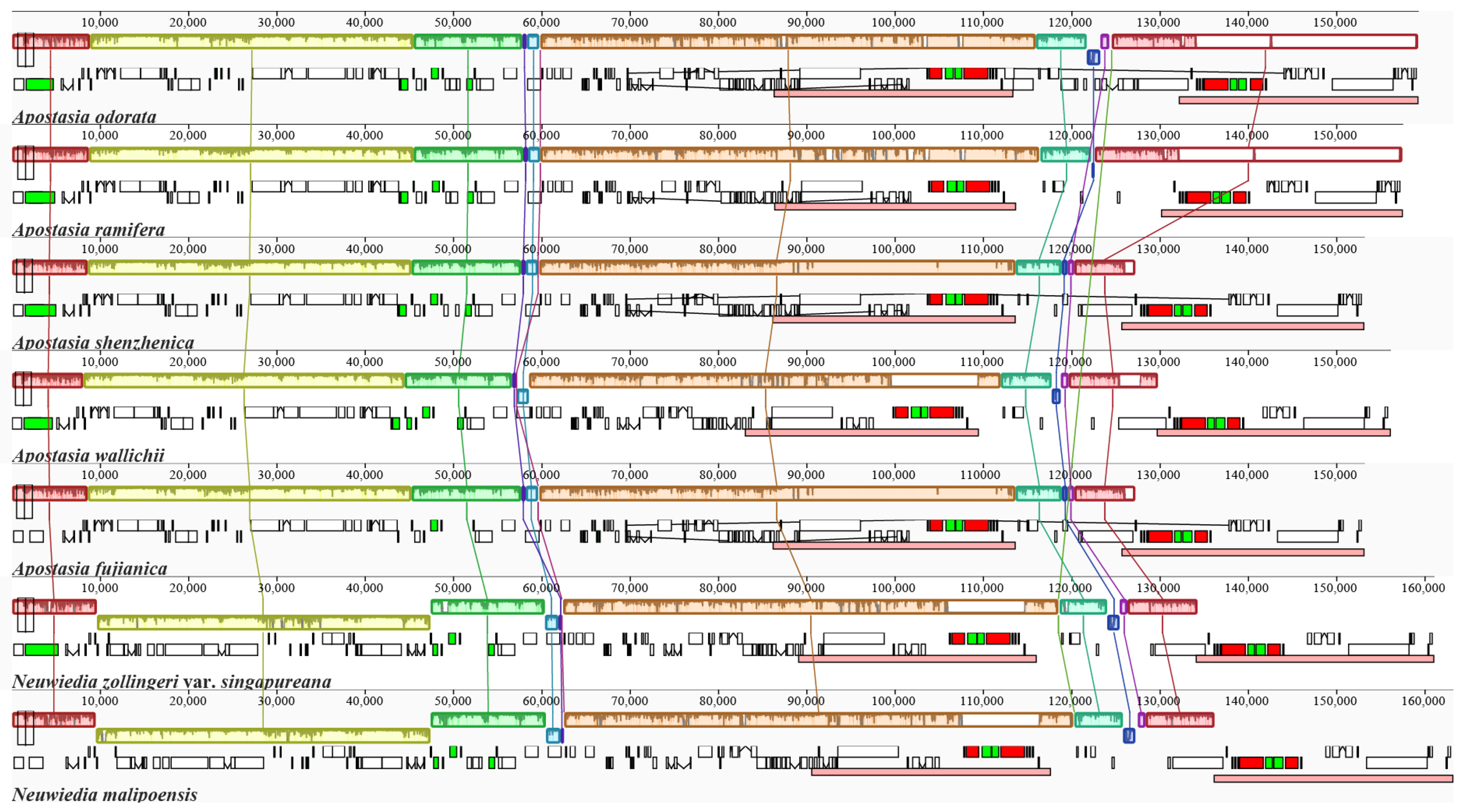 Horticulturae 10 00383 g004