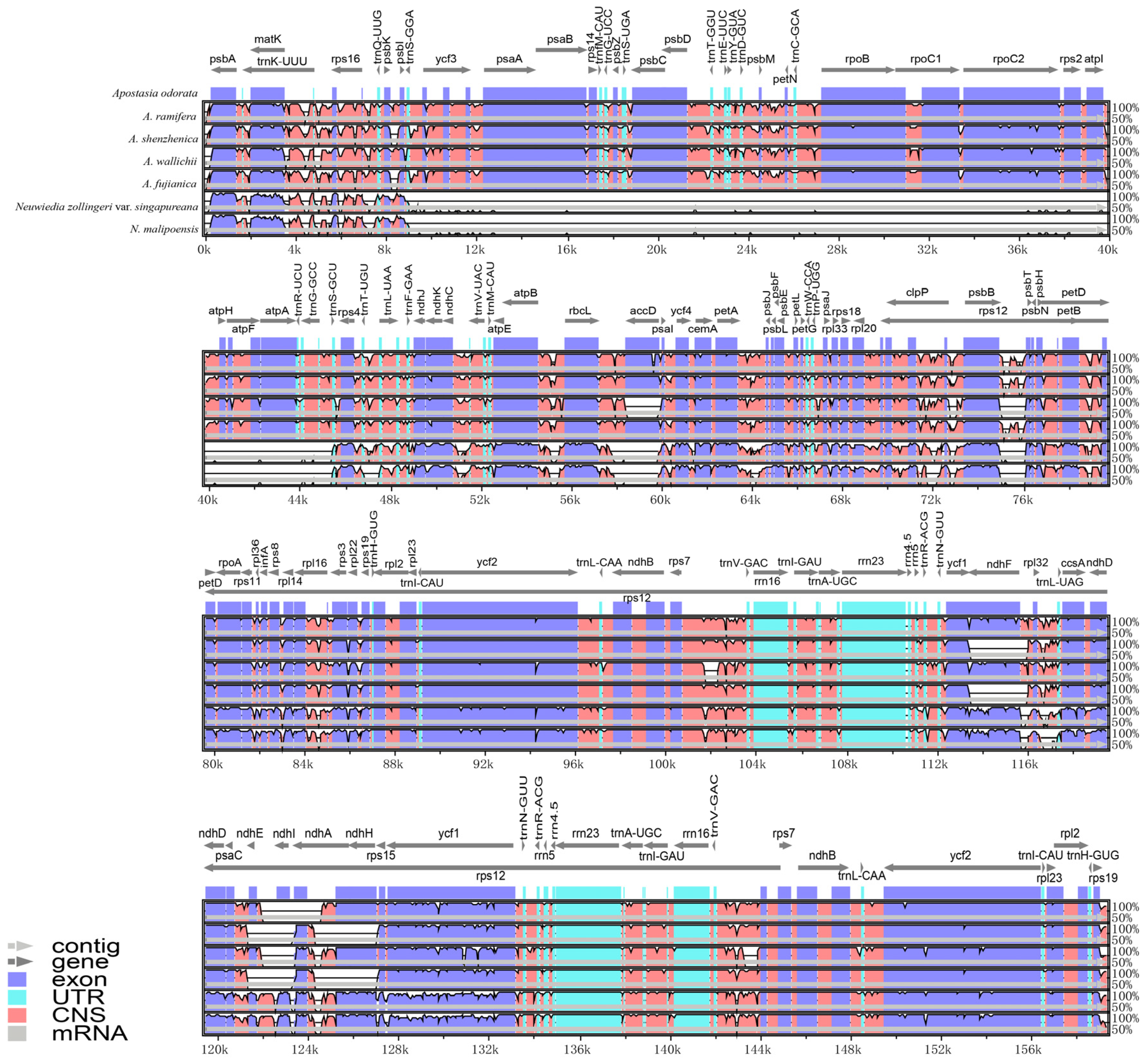 Horticulturae 10 00383 g005