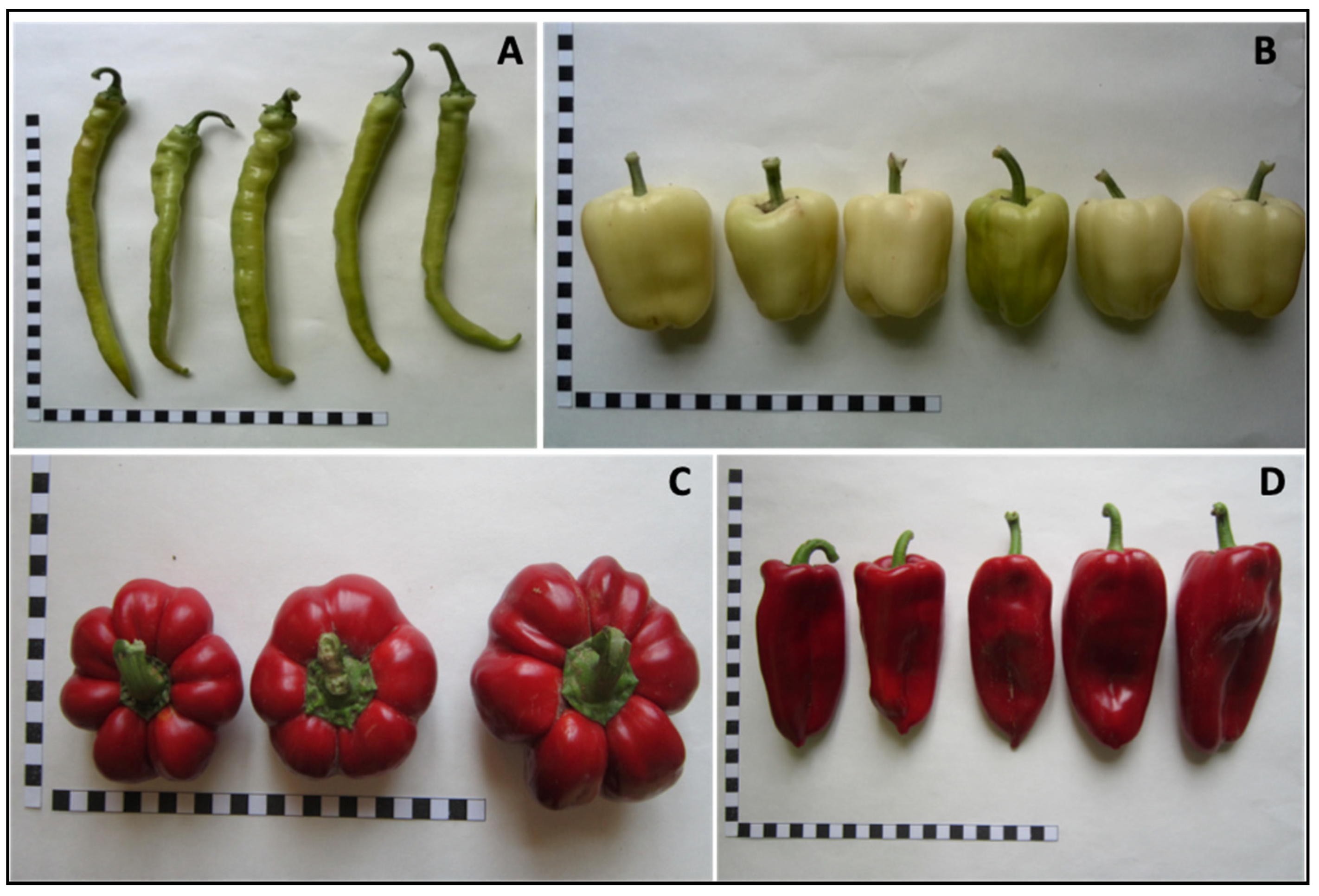 Horticulturae 10 00389 g001