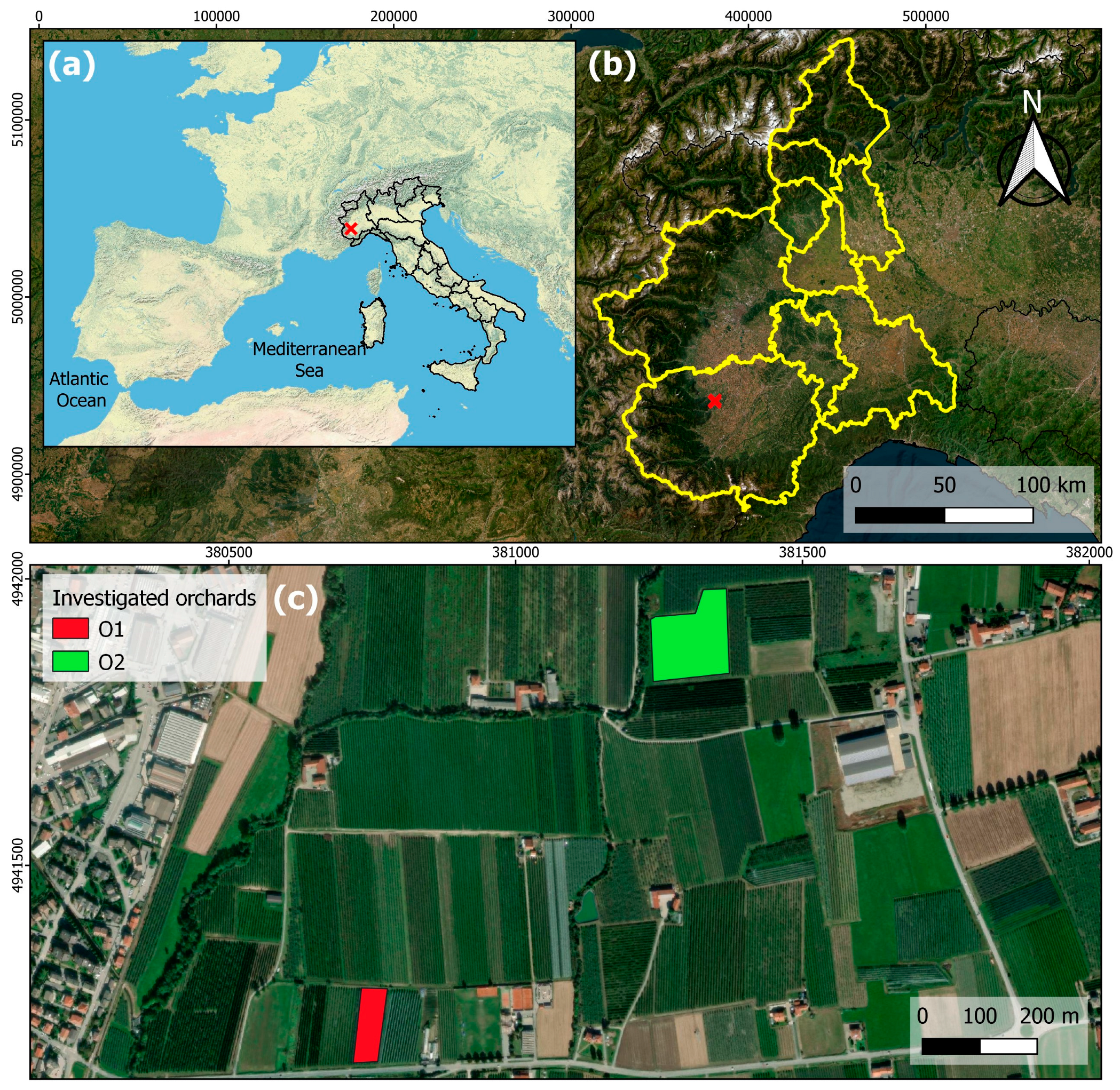 Horticulturae 10 00392 g001