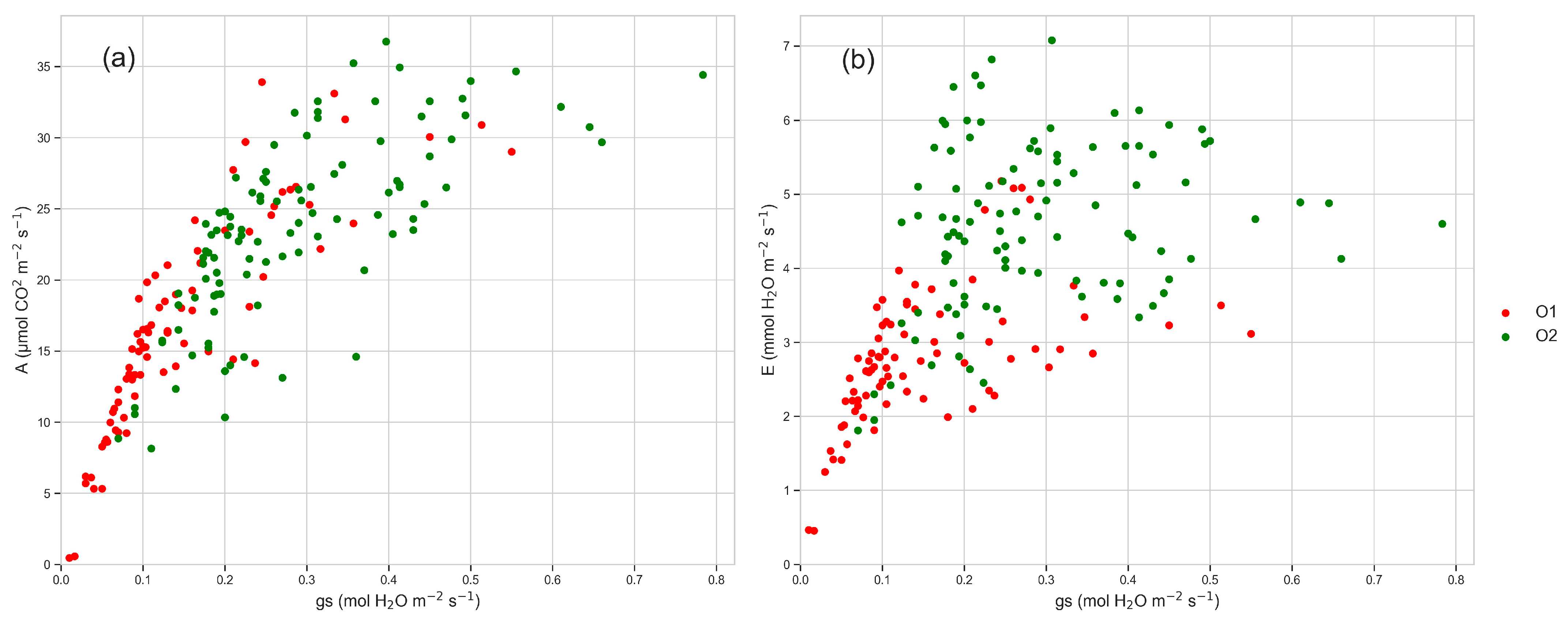 Horticulturae 10 00392 g006
