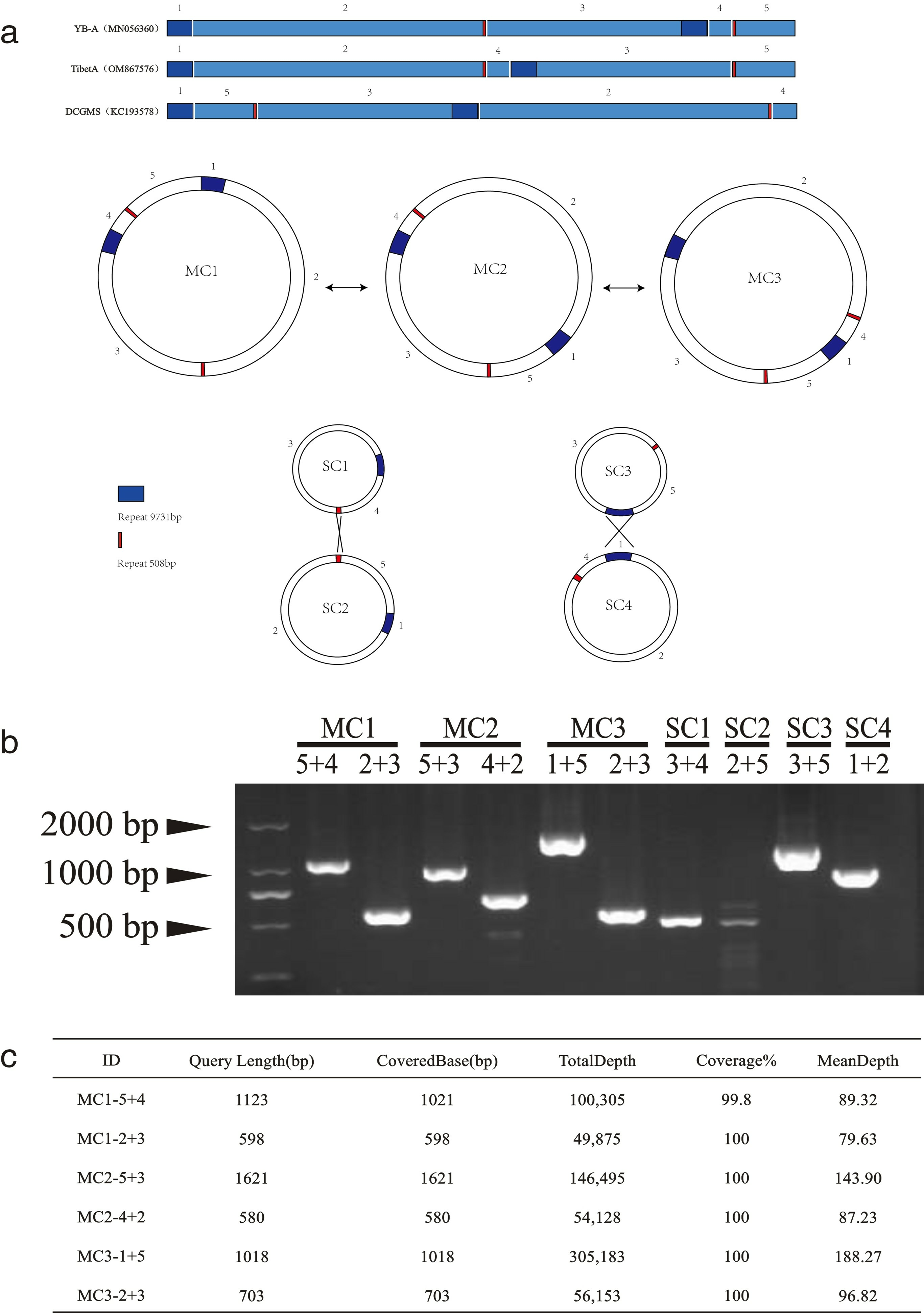Horticulturae 10 00395 g003 Horticulturae 10 00395 g003