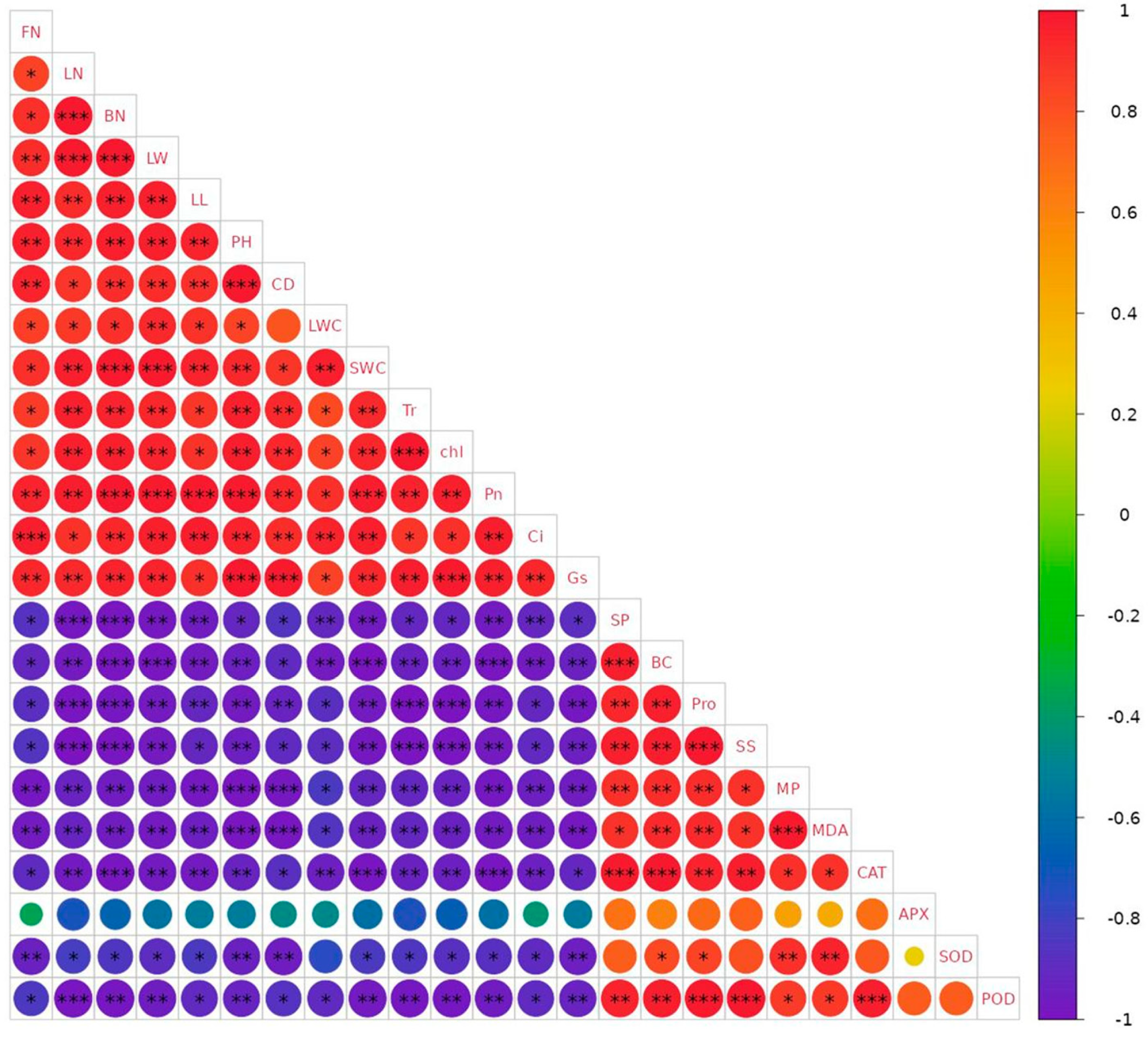 Horticulturae 10 00405 g006