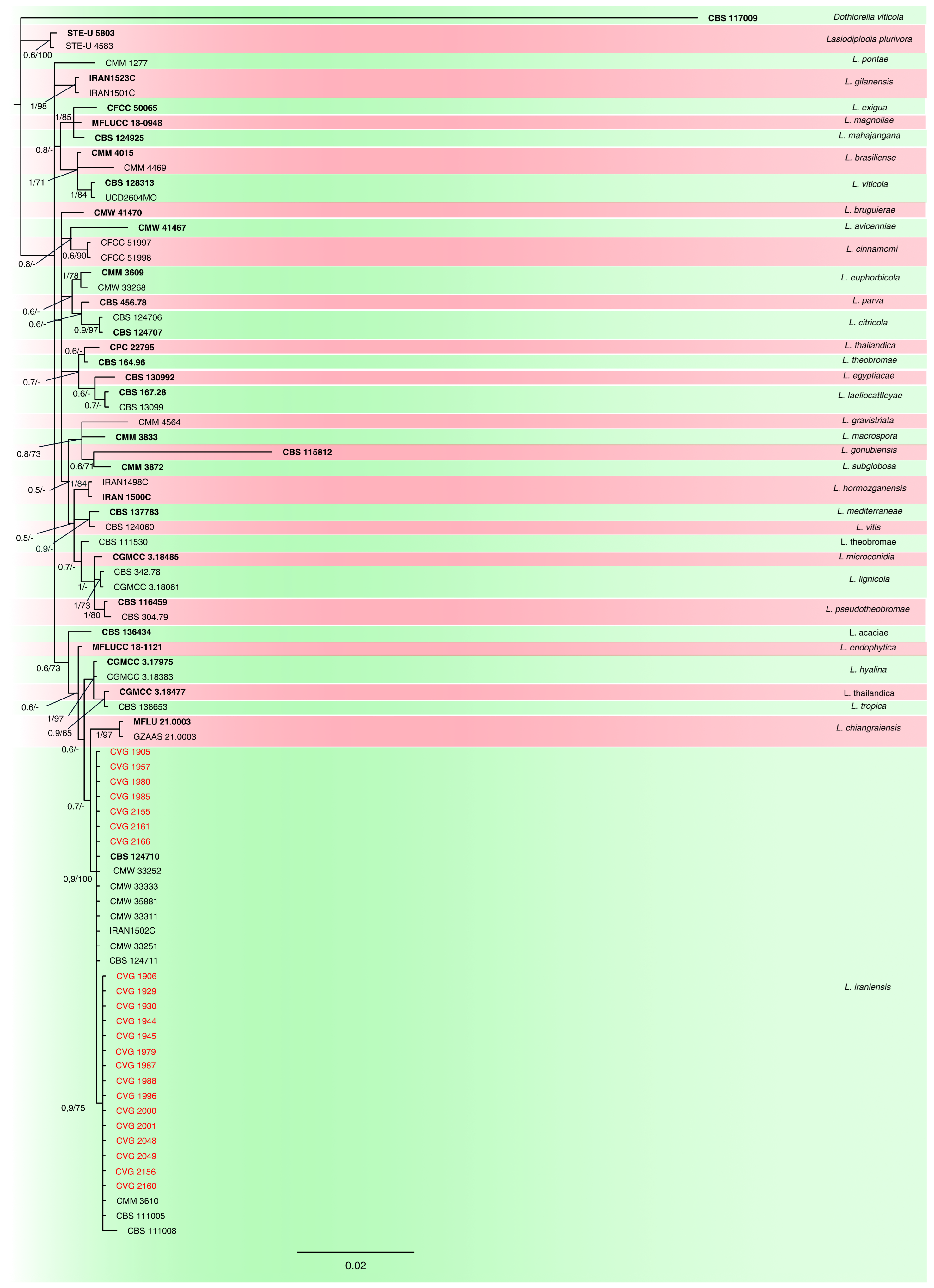 Horticulturae 10 00406 g003 Horticulturae 10 00406 g003