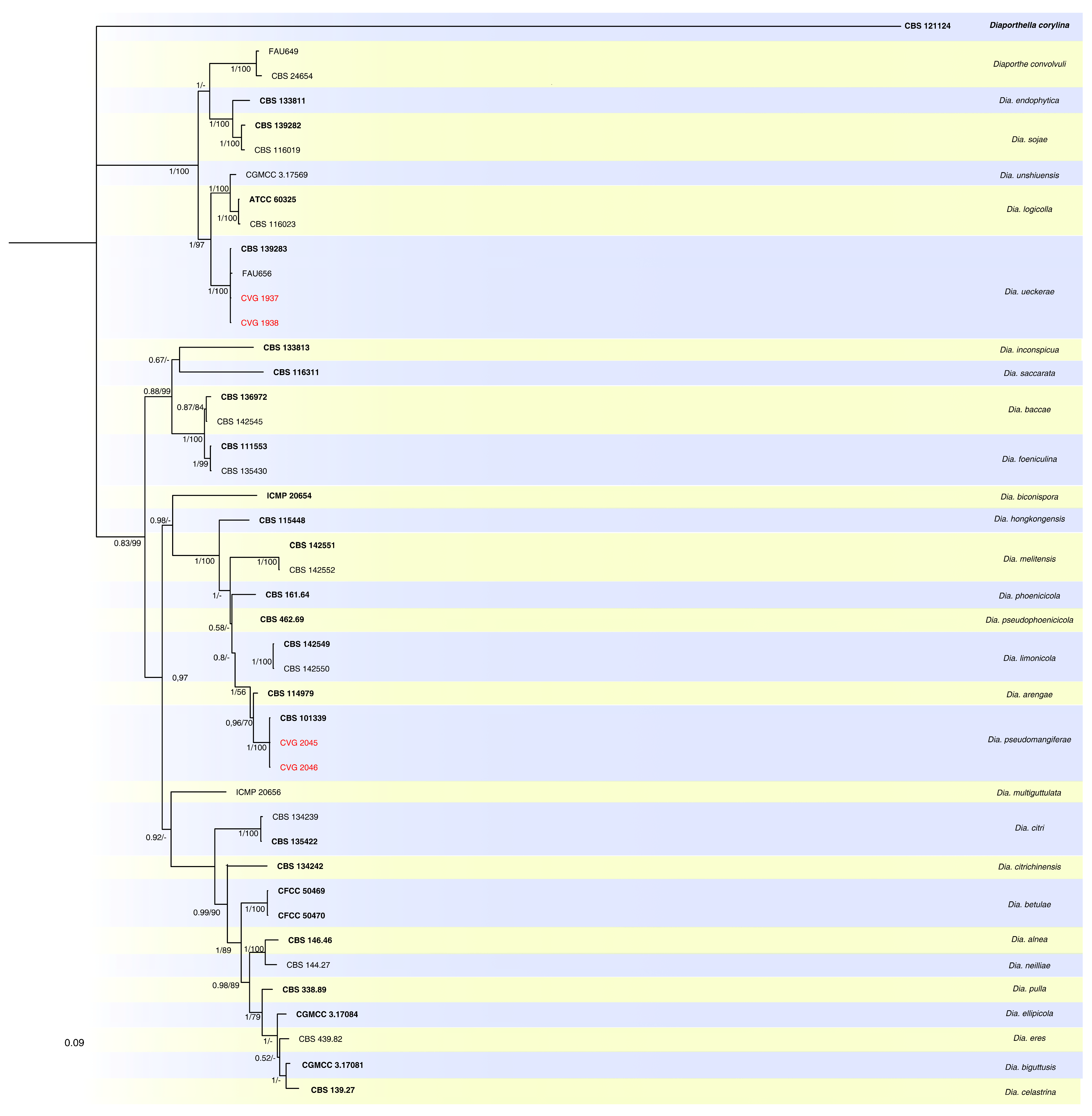 Horticulturae 10 00406 g004 Horticulturae 10 00406 g004