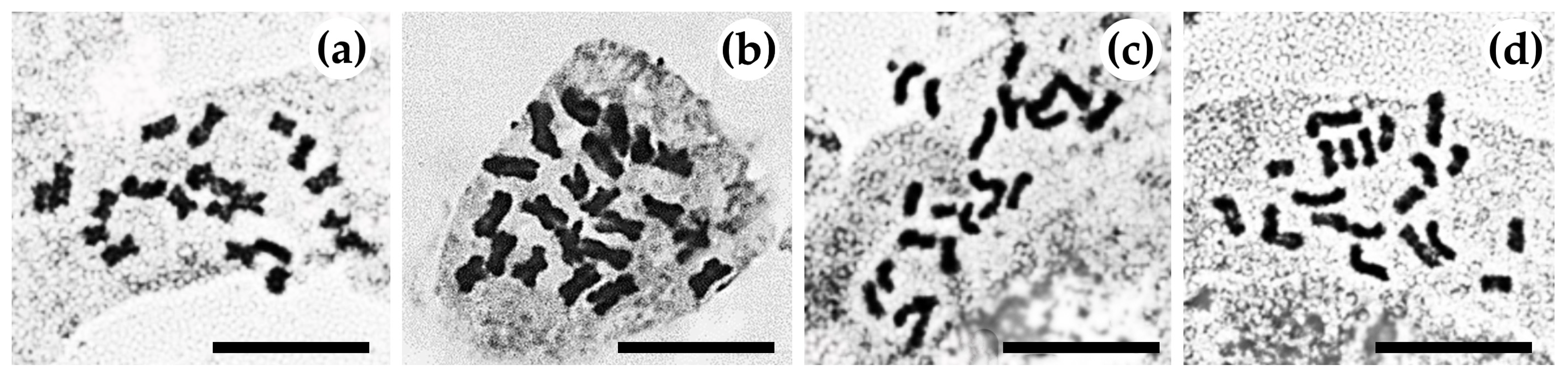 Horticulturae 10 00409 g002 Horticulturae 10 00409 g002