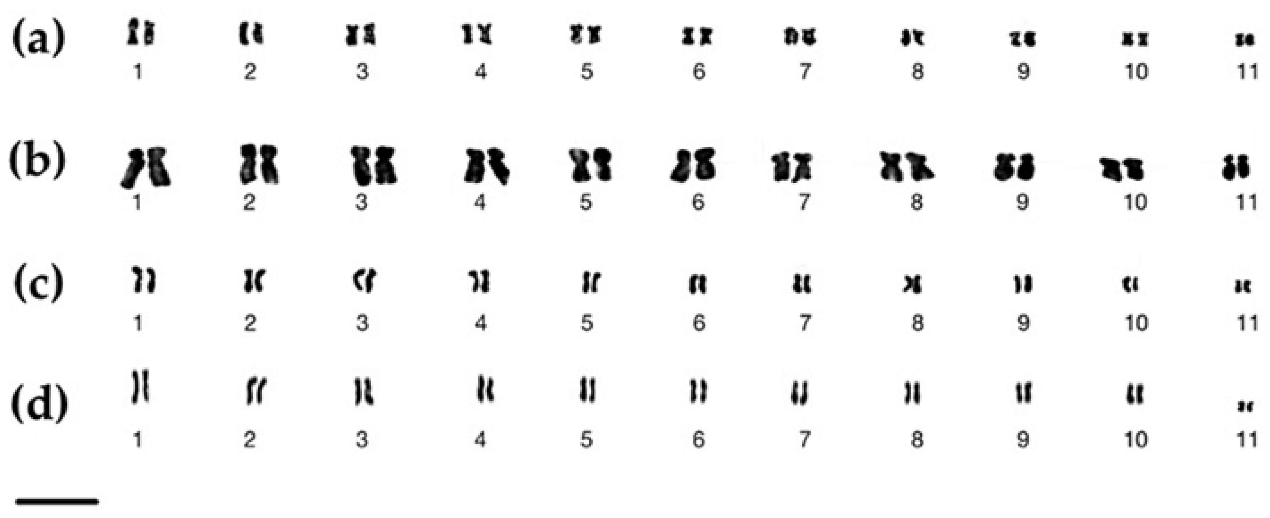 Horticulturae 10 00409 g003 Horticulturae 10 00409 g003