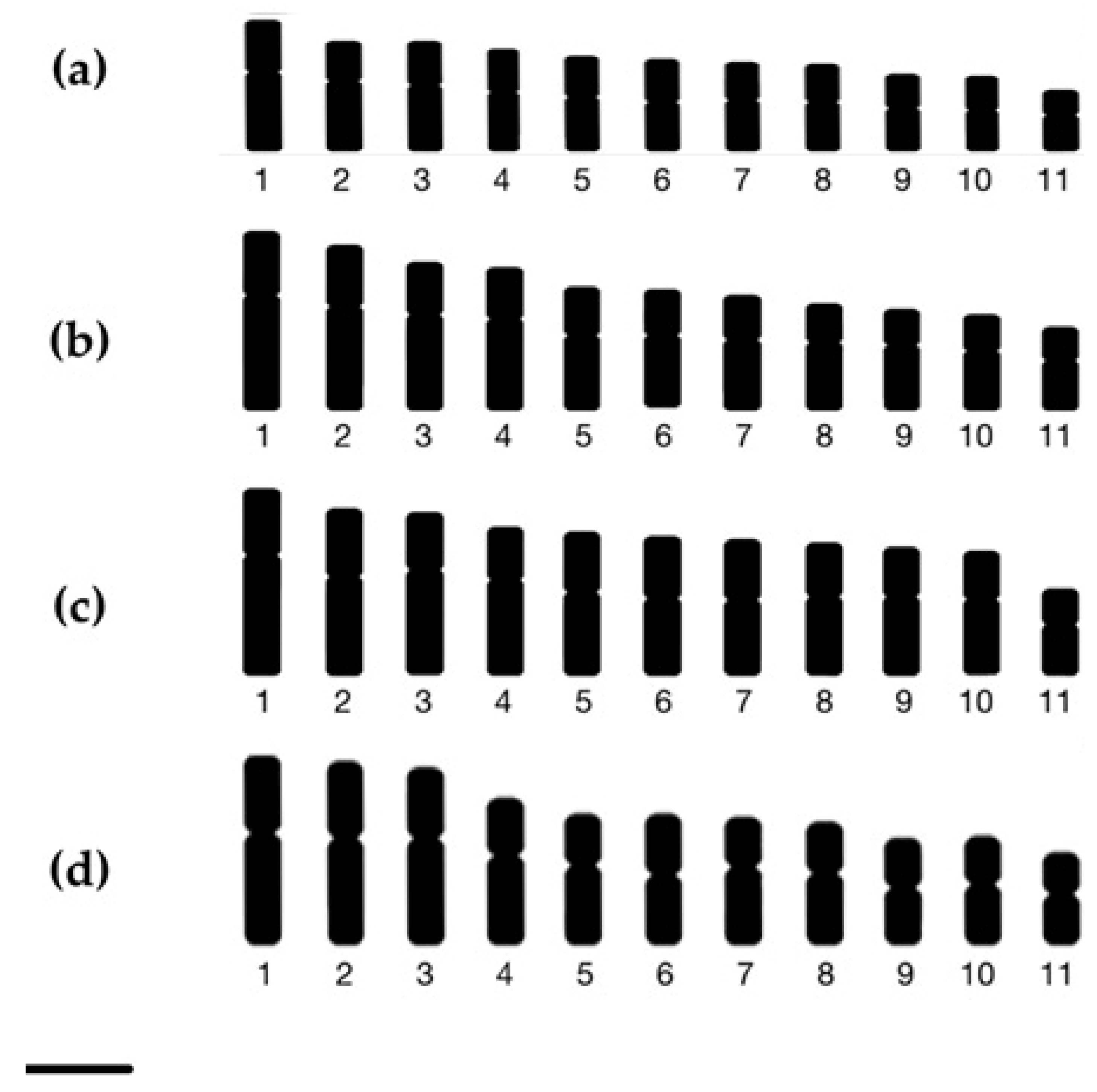 Horticulturae 10 00409 g004 Horticulturae 10 00409 g004