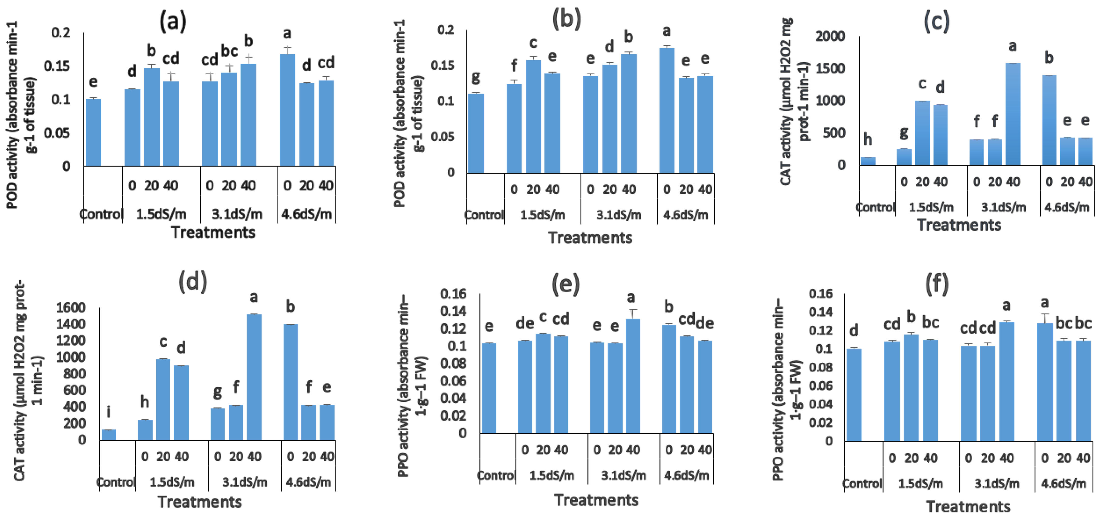 Horticulturae 10 00410 g005