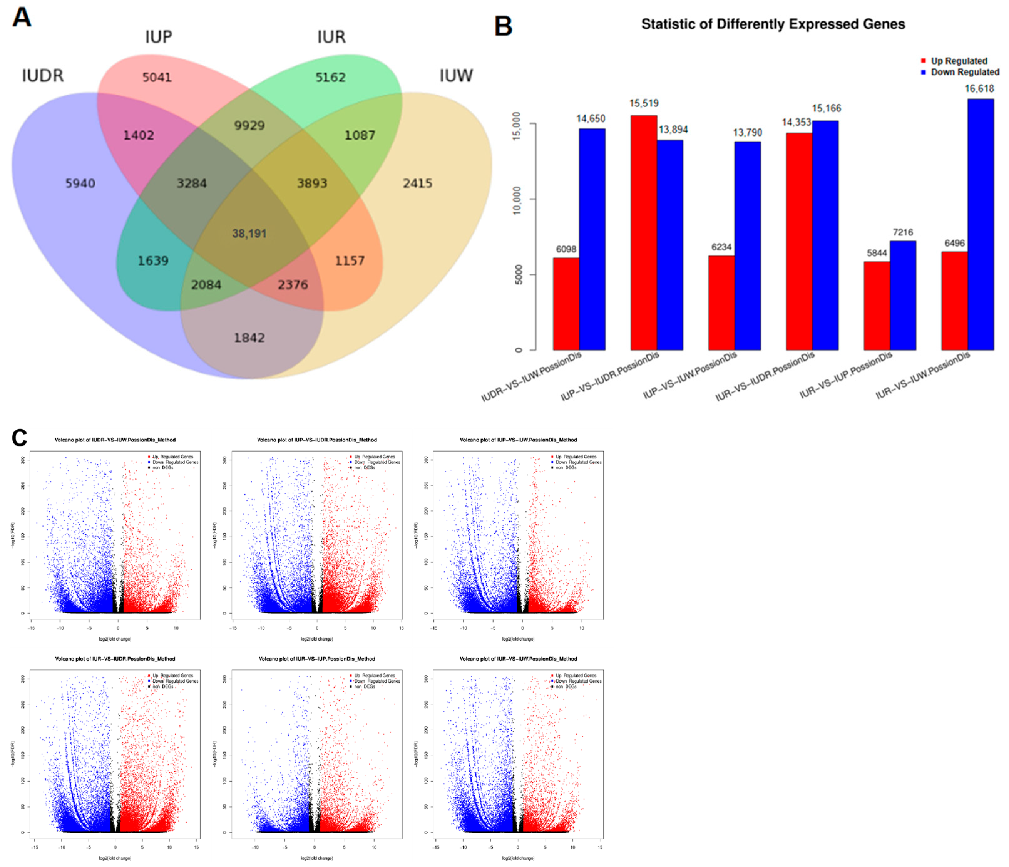 Horticulturae 10 00415 g007