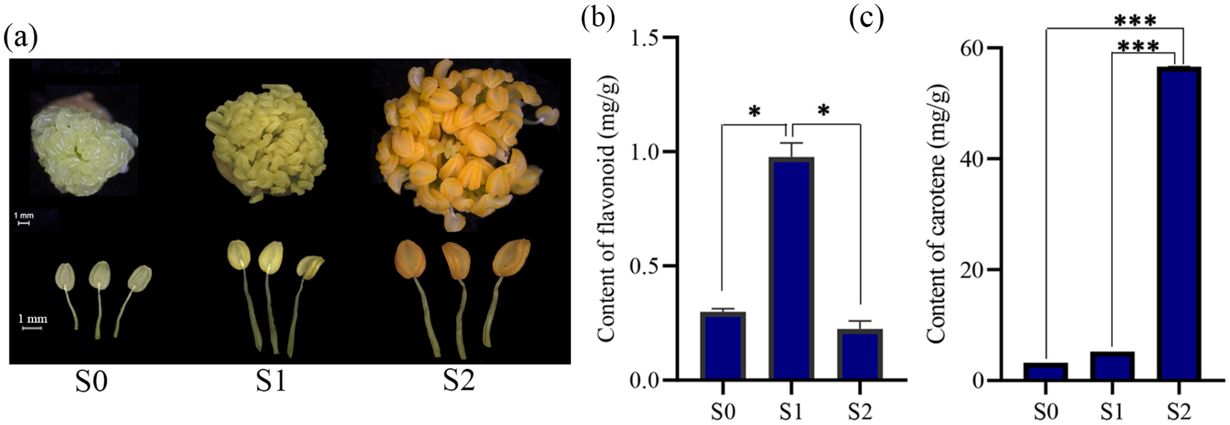 Horticulturae 10 00420 g001