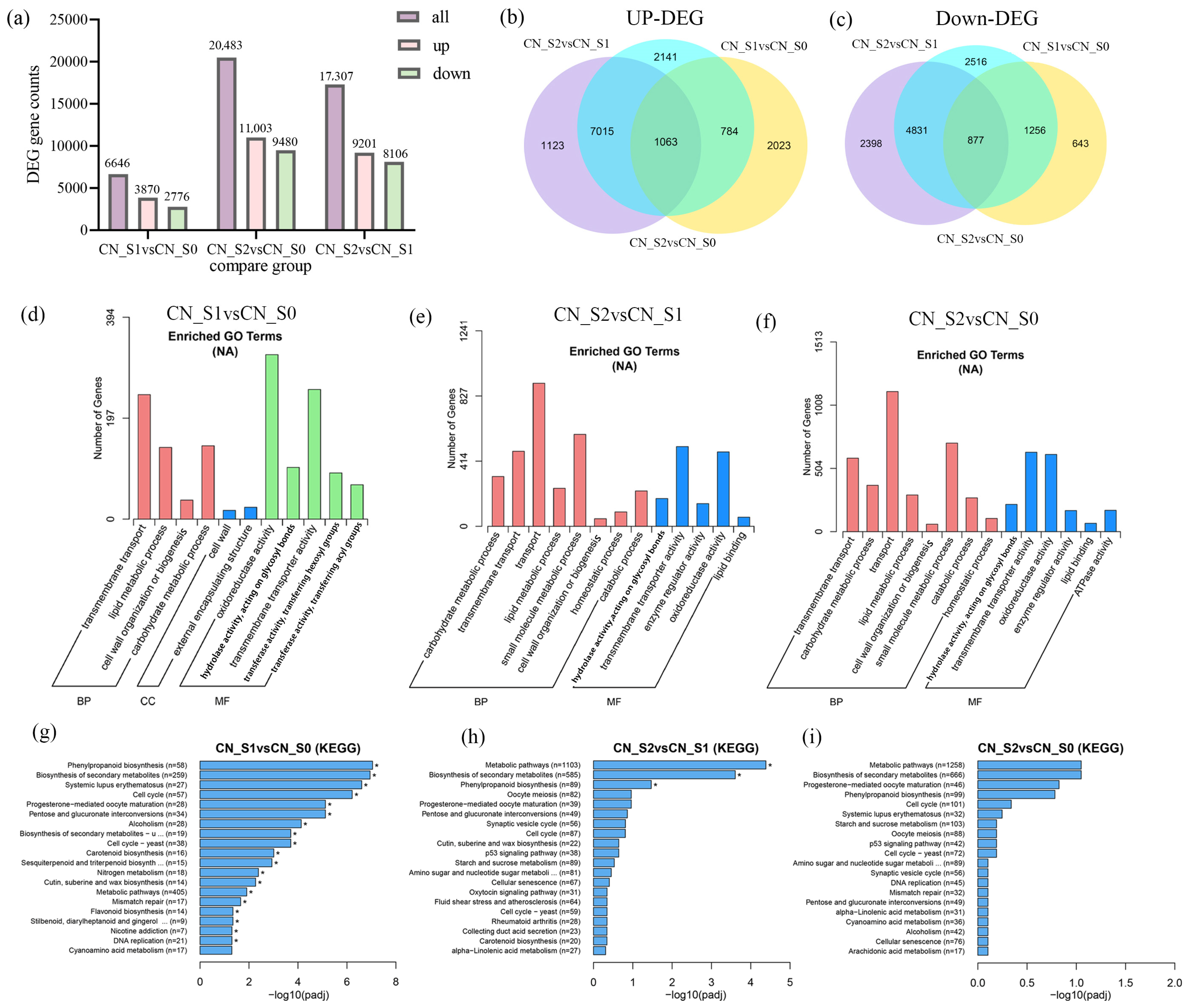 Horticulturae 10 00420 g002