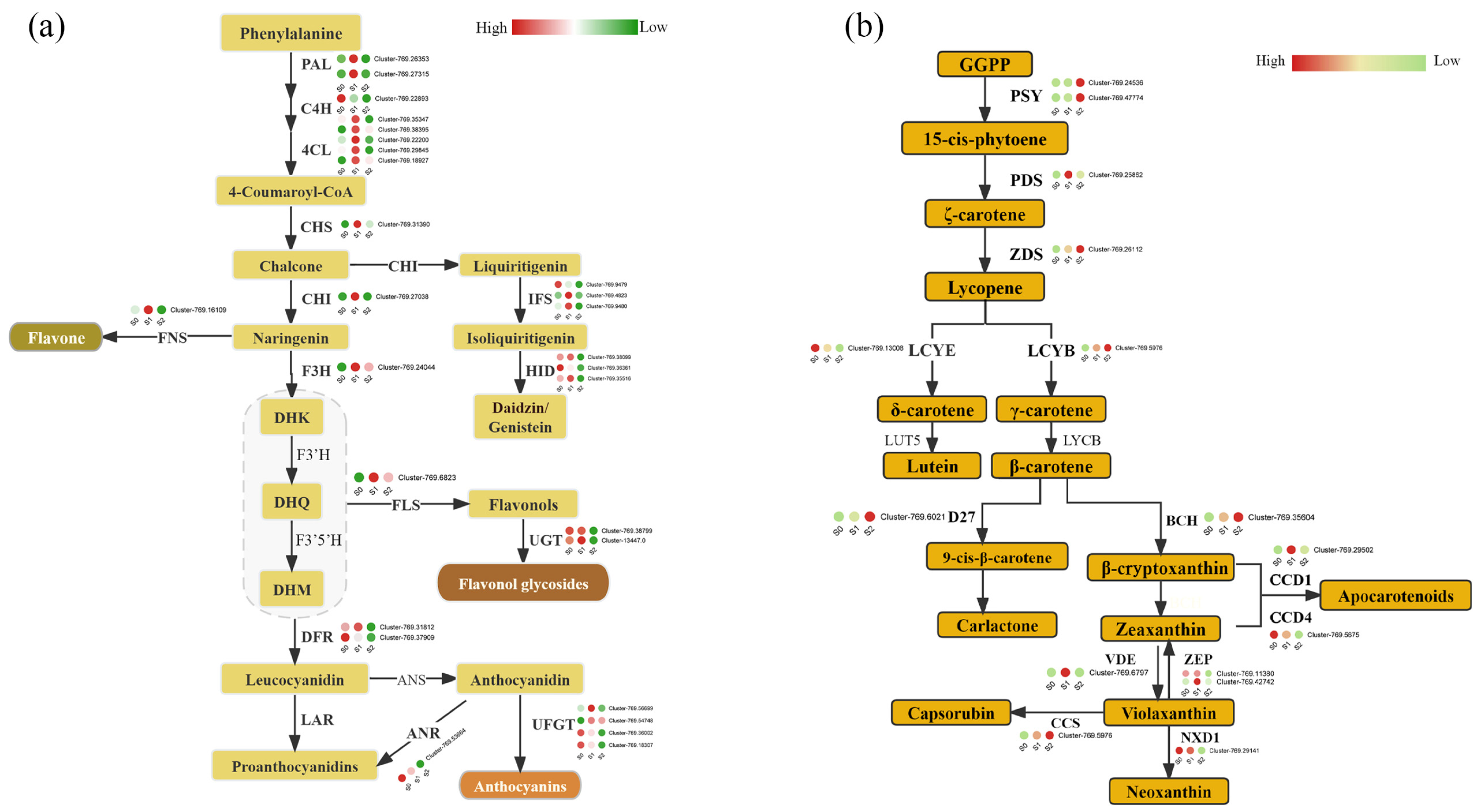 Horticulturae 10 00420 g003