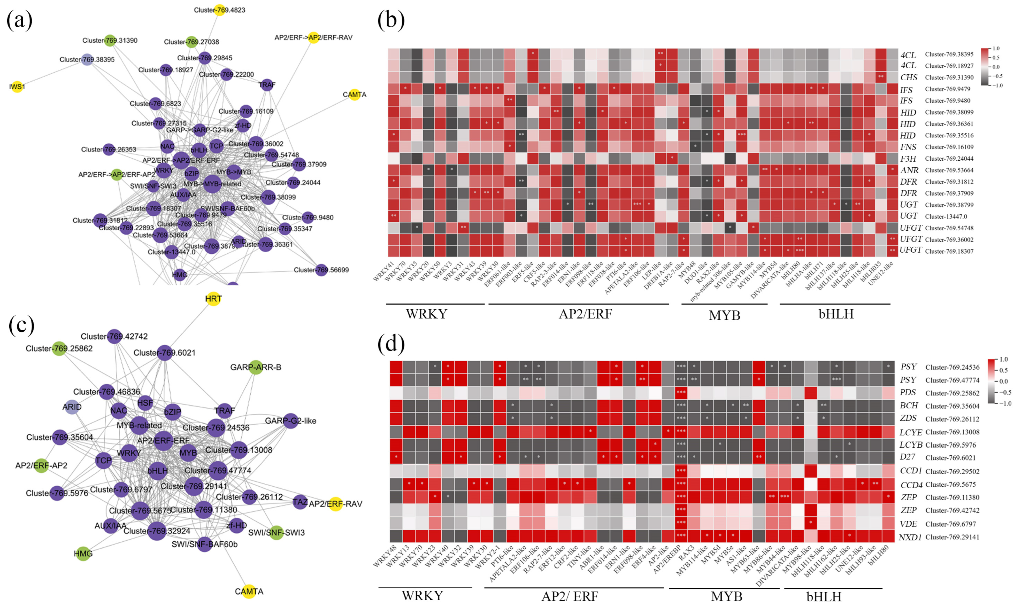 Horticulturae 10 00420 g004