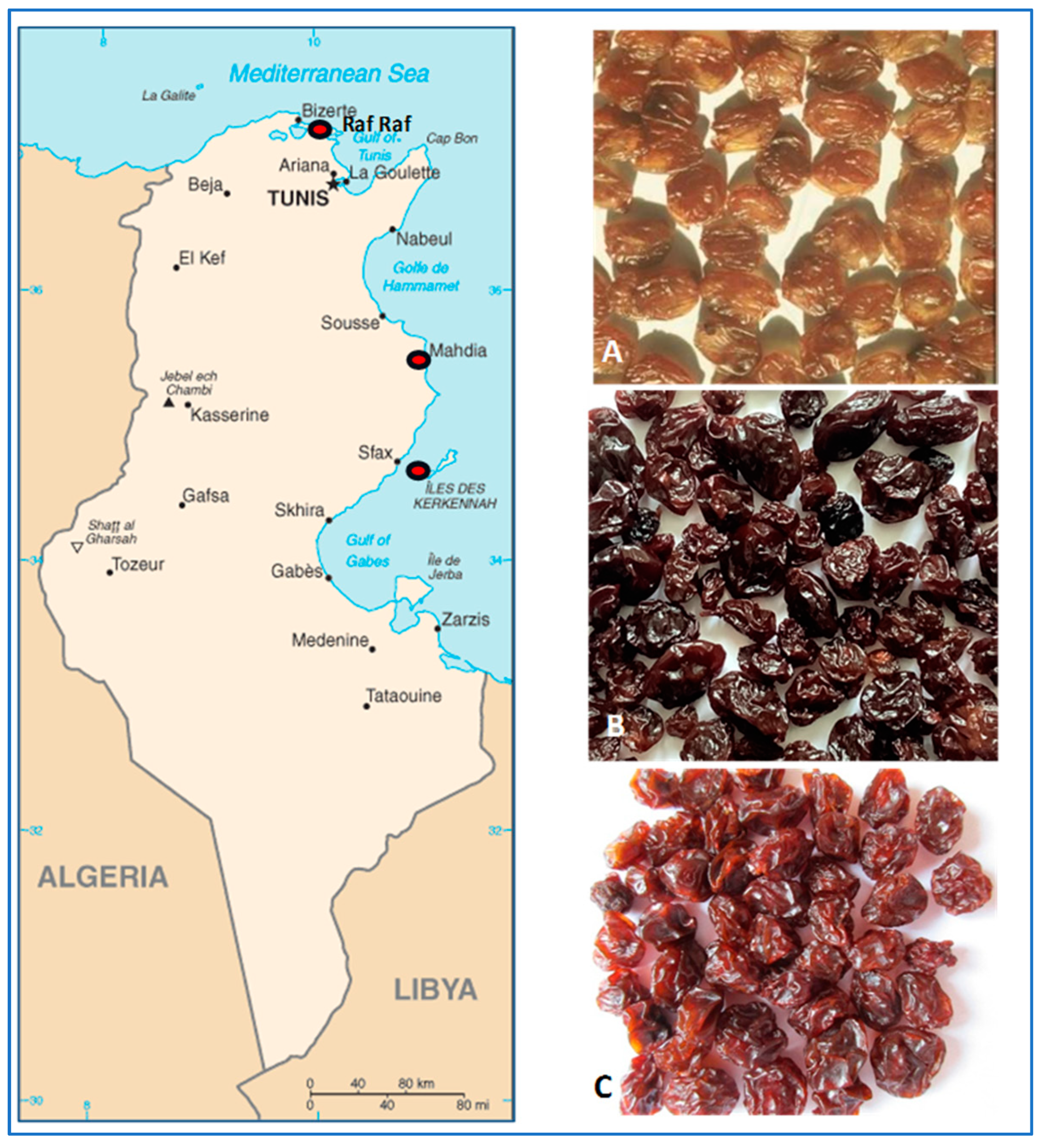 Horticulturae 10 00423 g002 Horticulturae 10 00423 g002