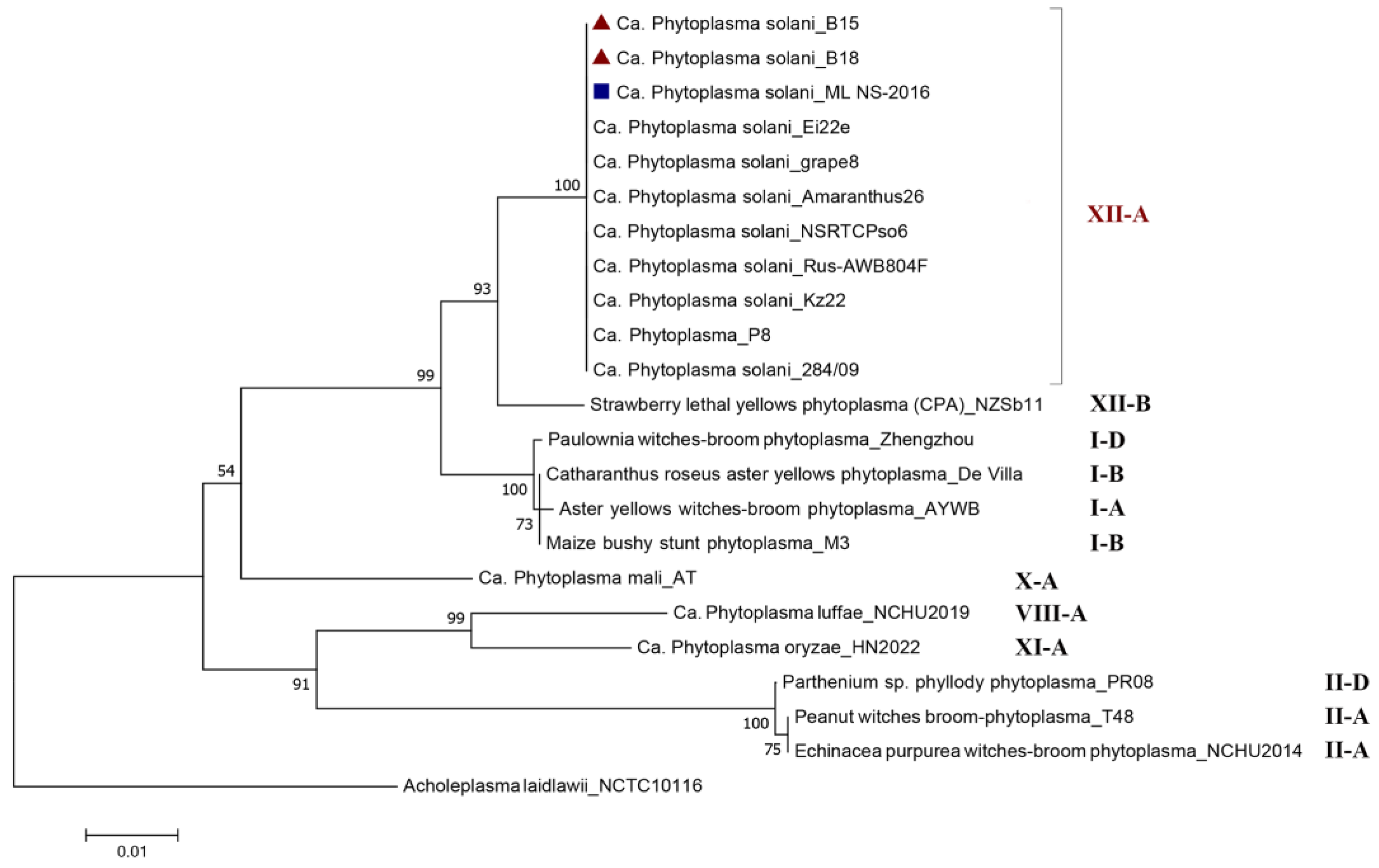 Horticulturae 10 00426 g003 Horticulturae 10 00426 g003