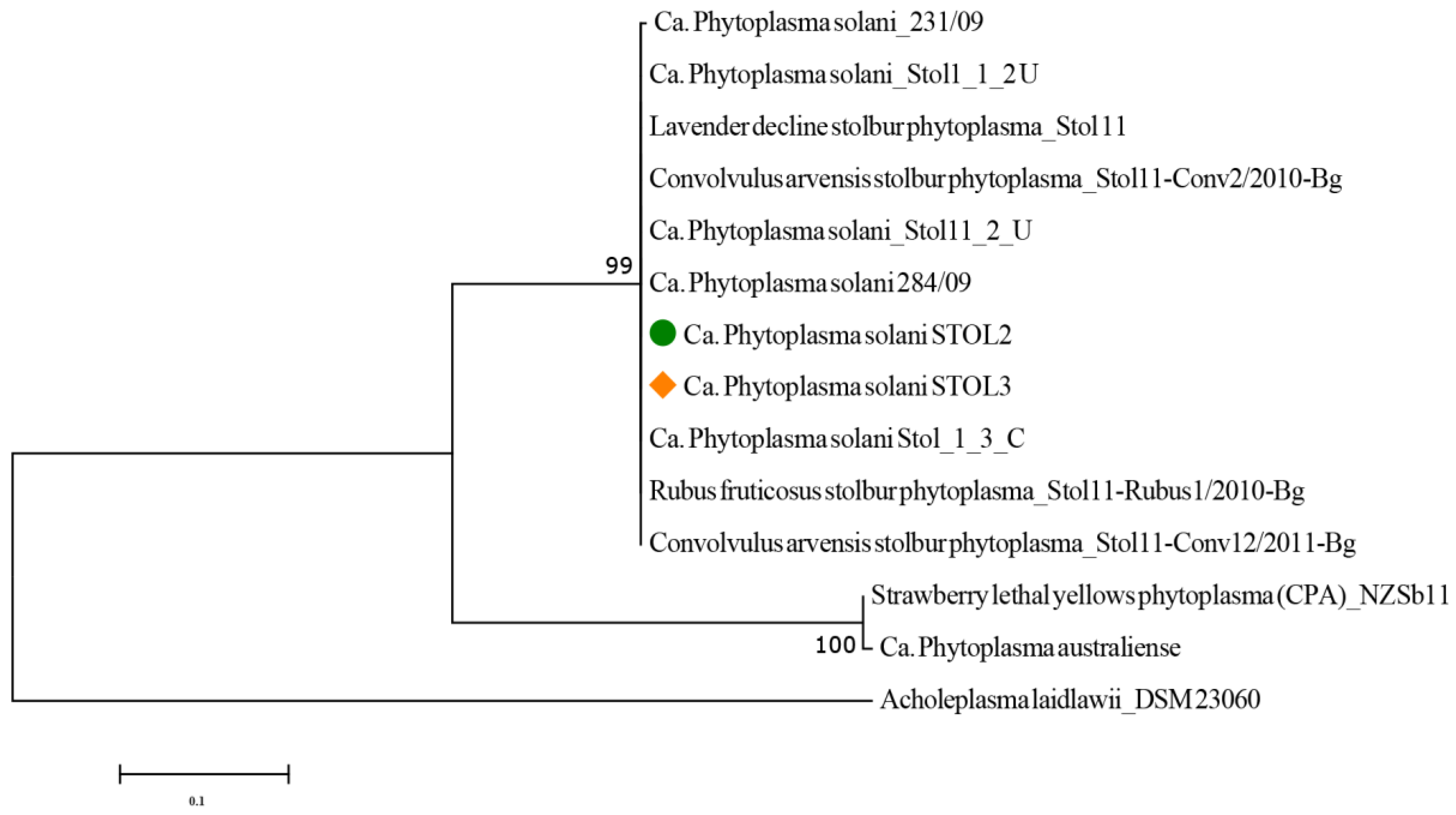 Horticulturae 10 00426 g004 Horticulturae 10 00426 g004