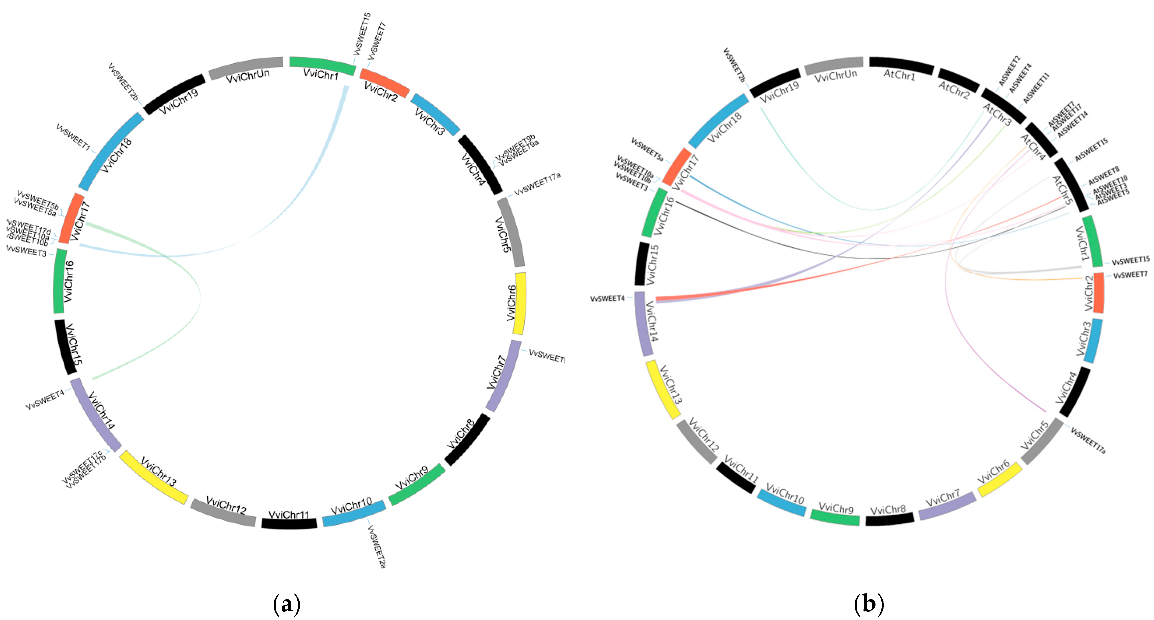 Horticulturae 10 00428 g003