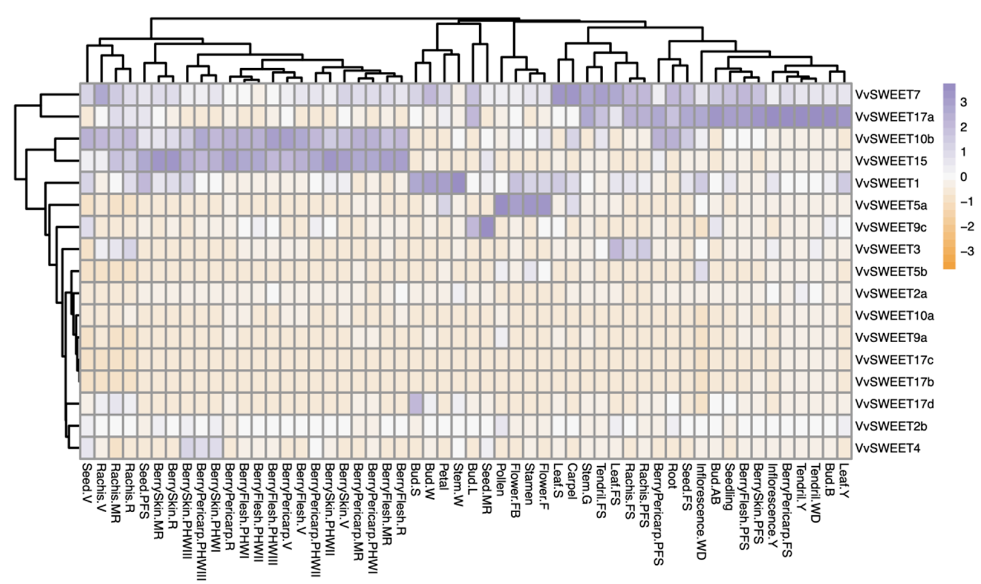 Horticulturae 10 00428 g004