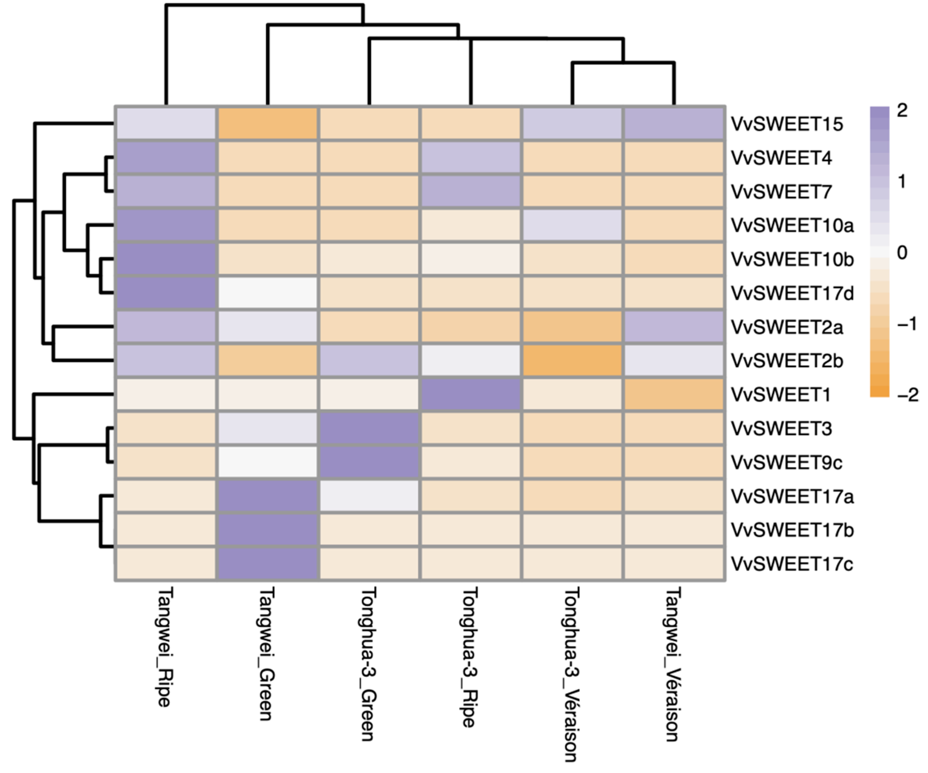 Horticulturae 10 00428 g005