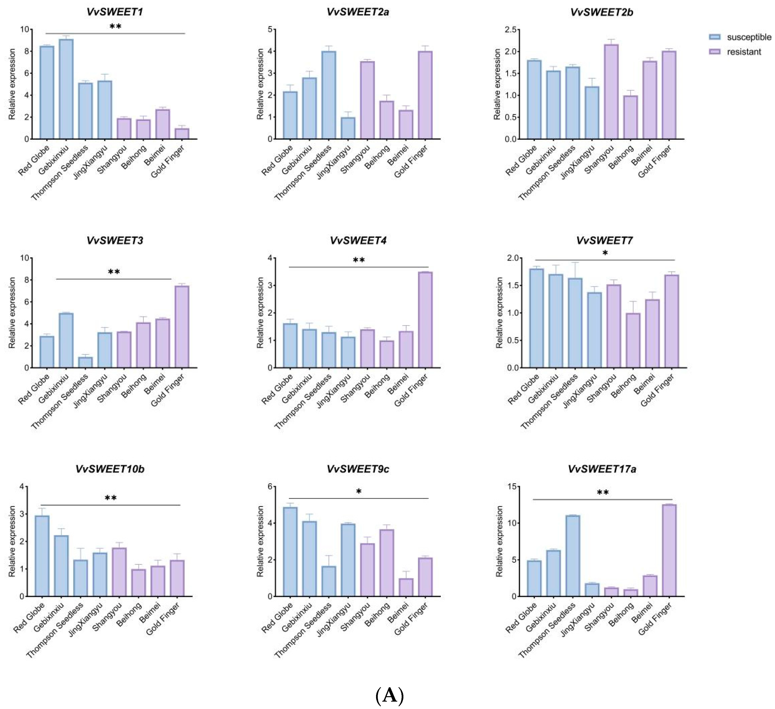 Horticulturae 10 00428 g007a