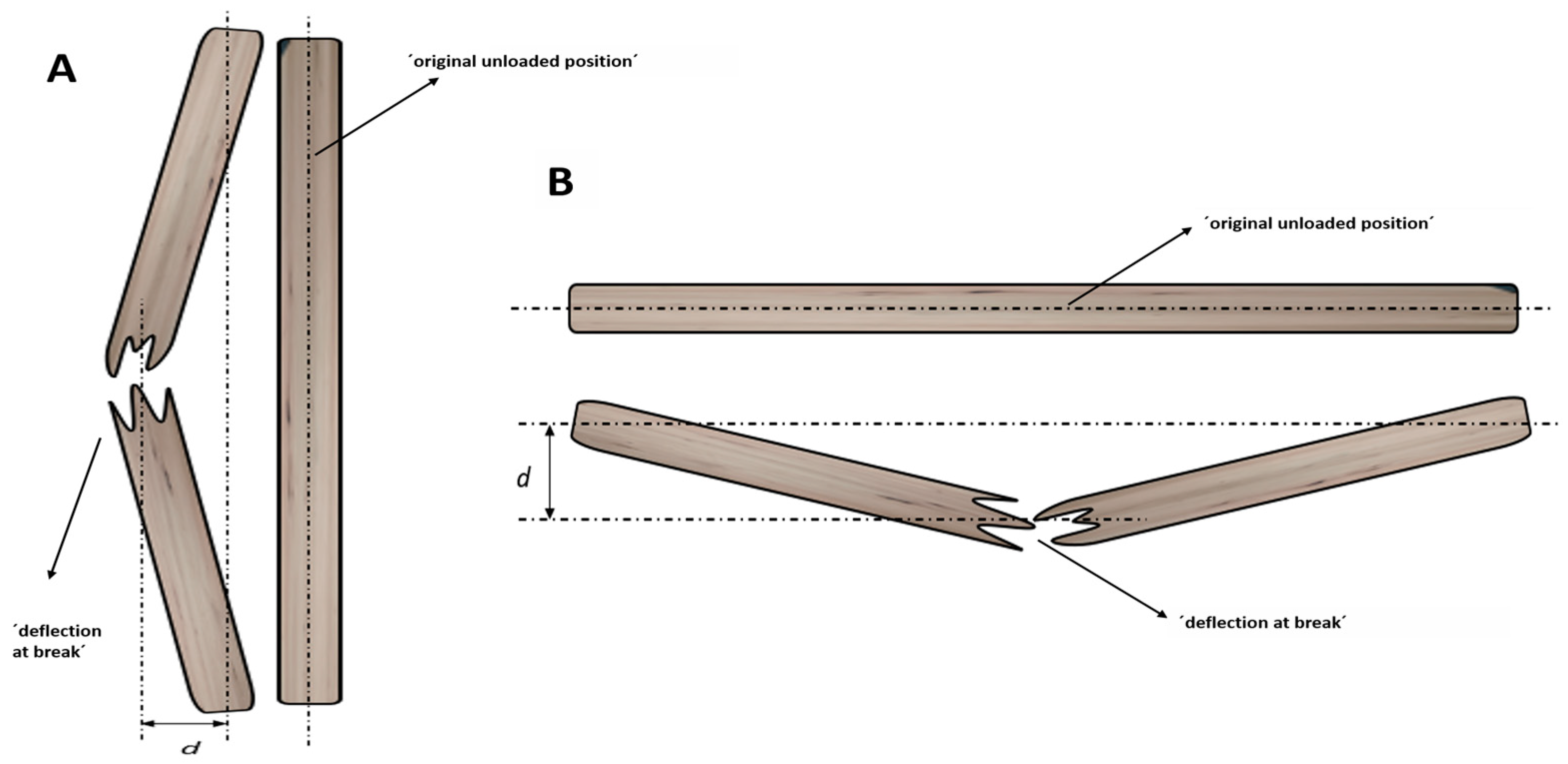 Horticulturae 10 00431 g002