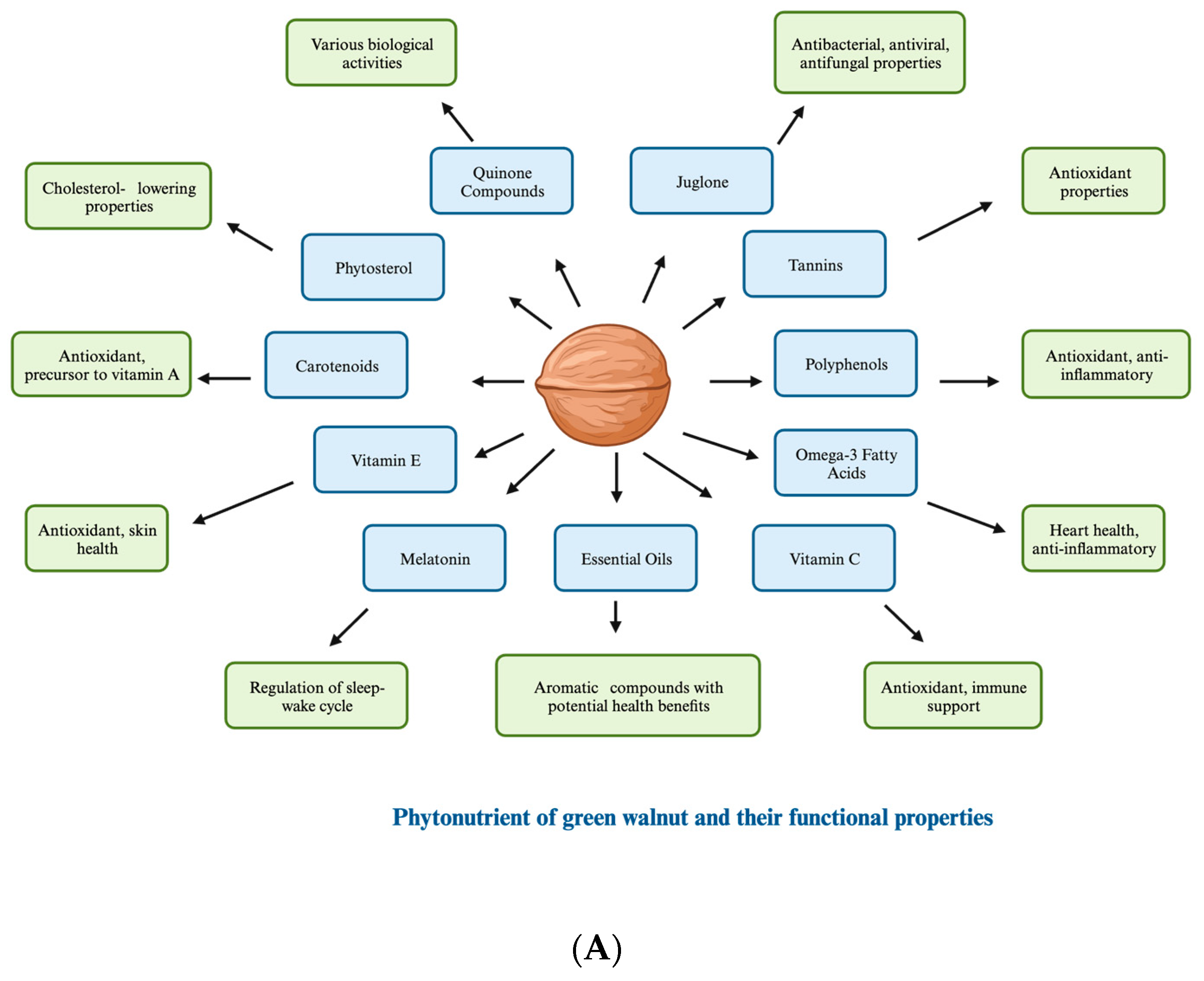 Horticulturae 10 00433 g002a Horticulturae 10 00433 g002a
