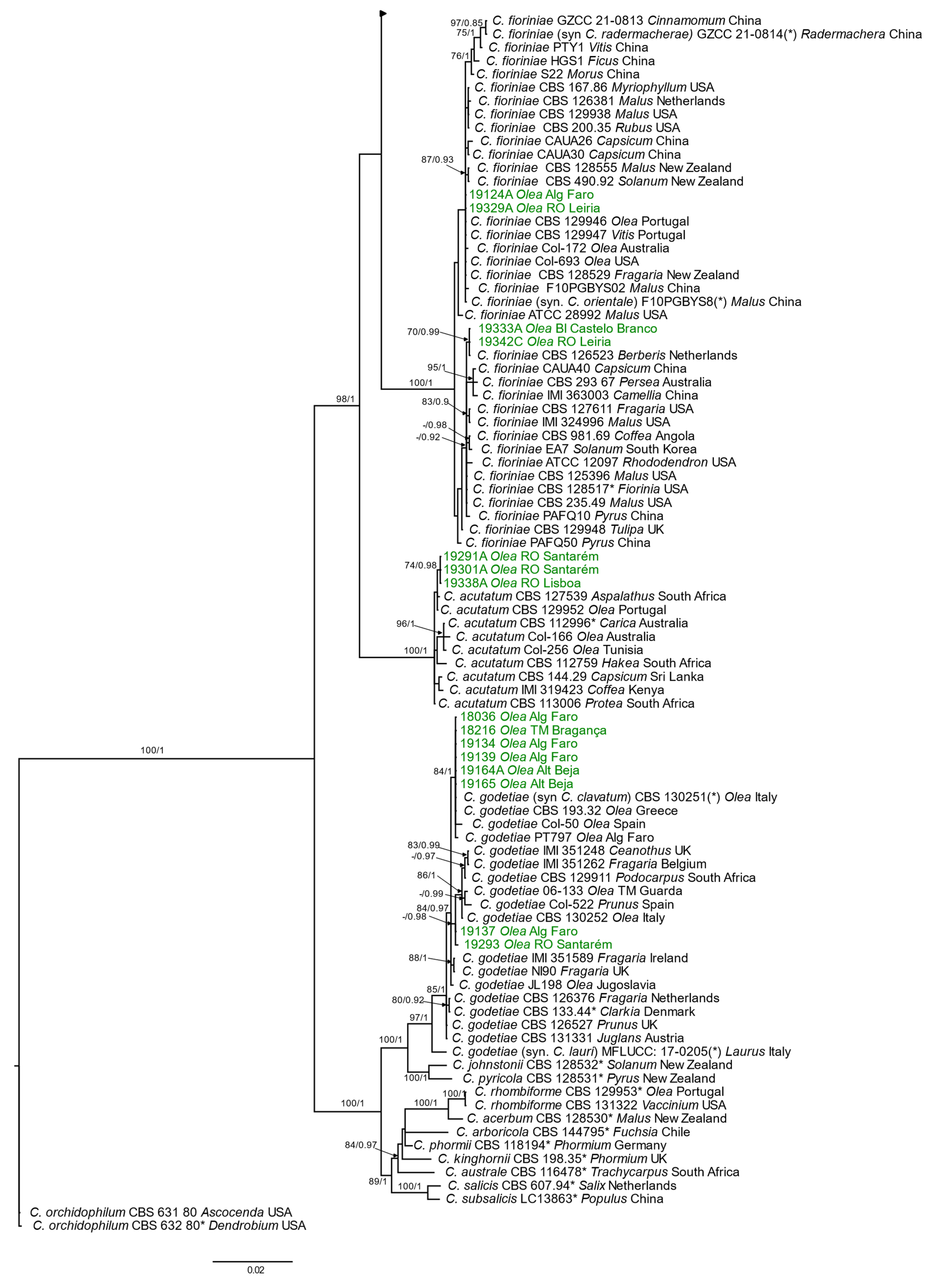 Horticulturae 10 00434 g004b