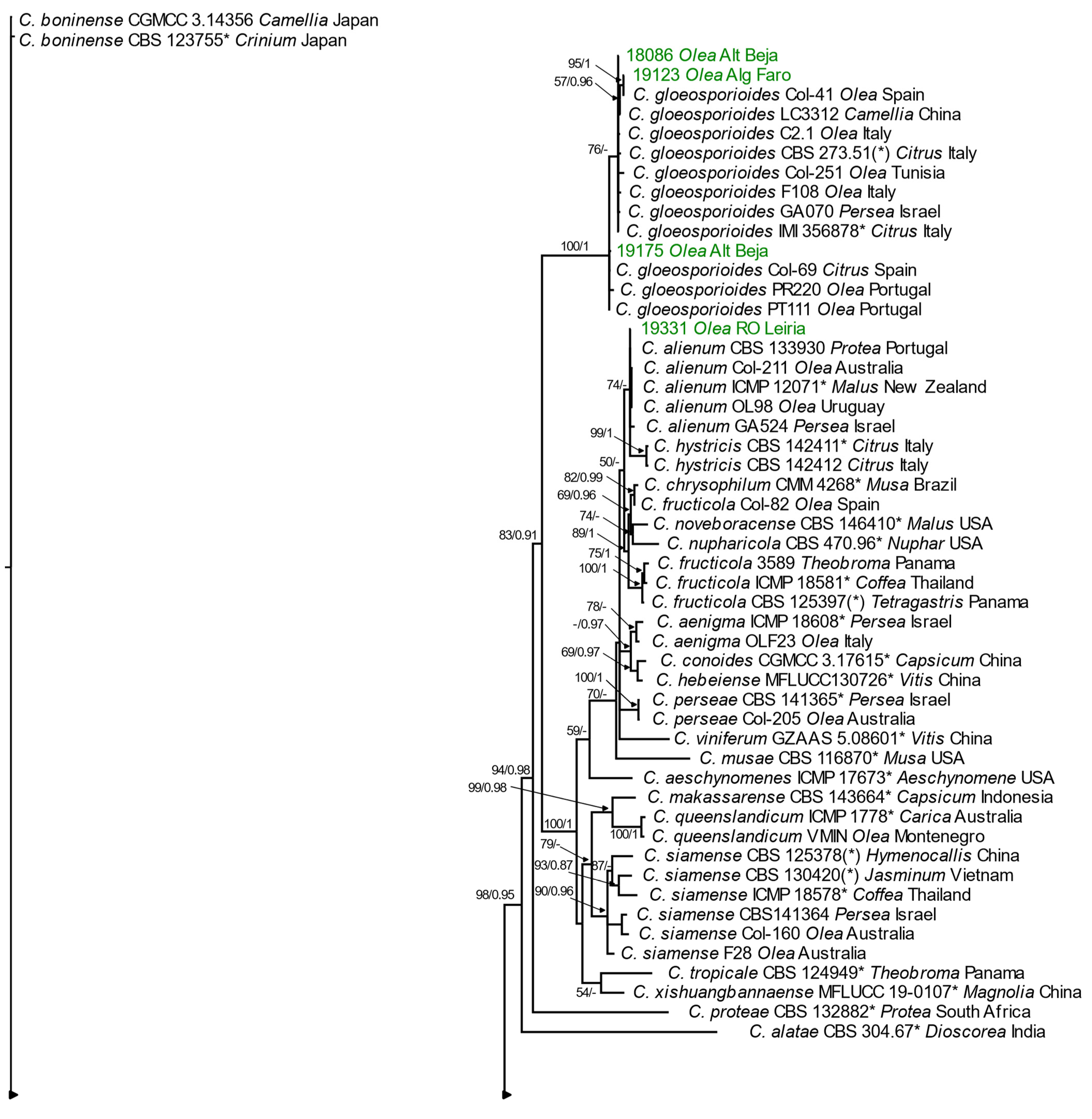 Horticulturae 10 00434 g005a
