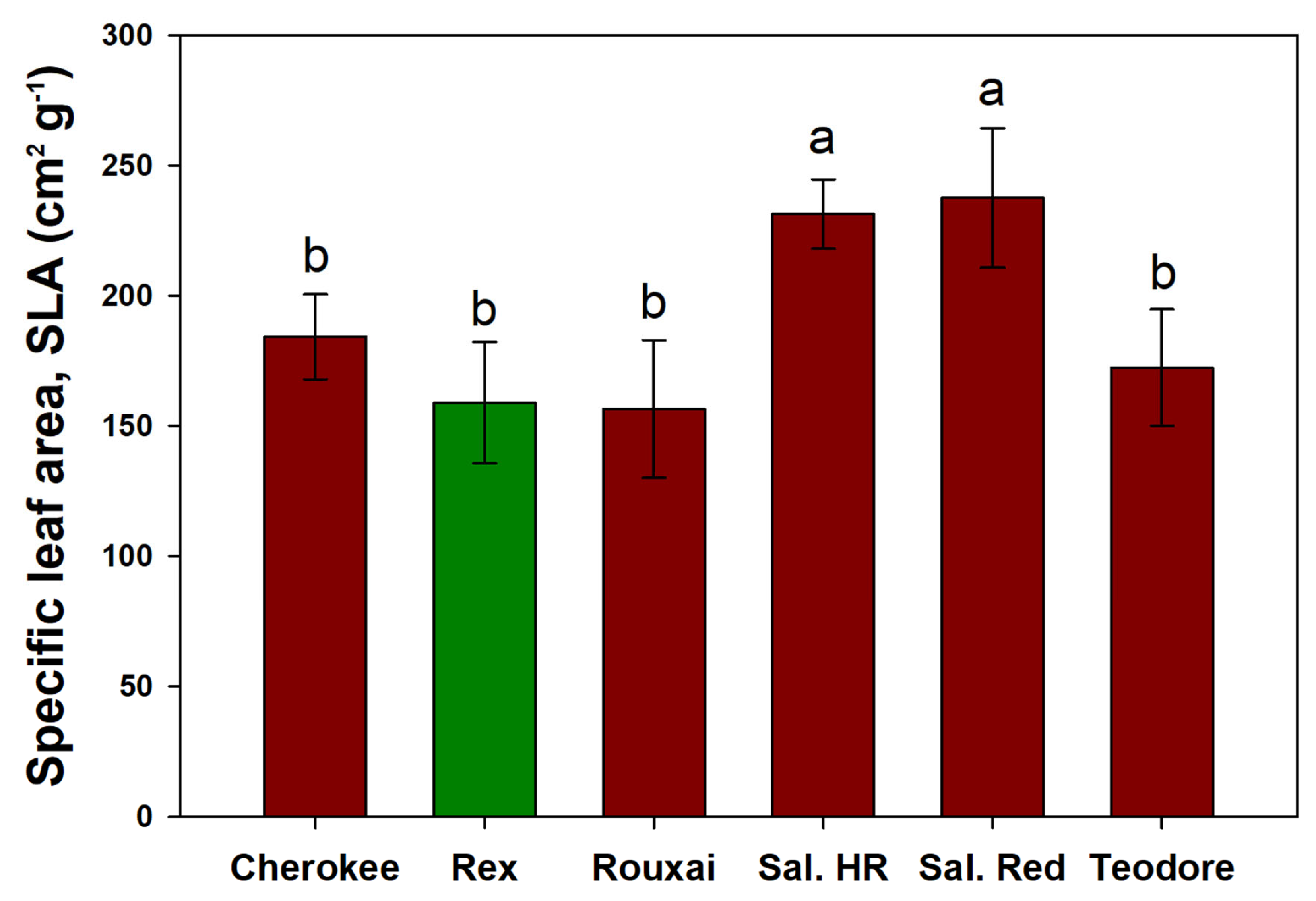 Horticulturae 10 00437 g009