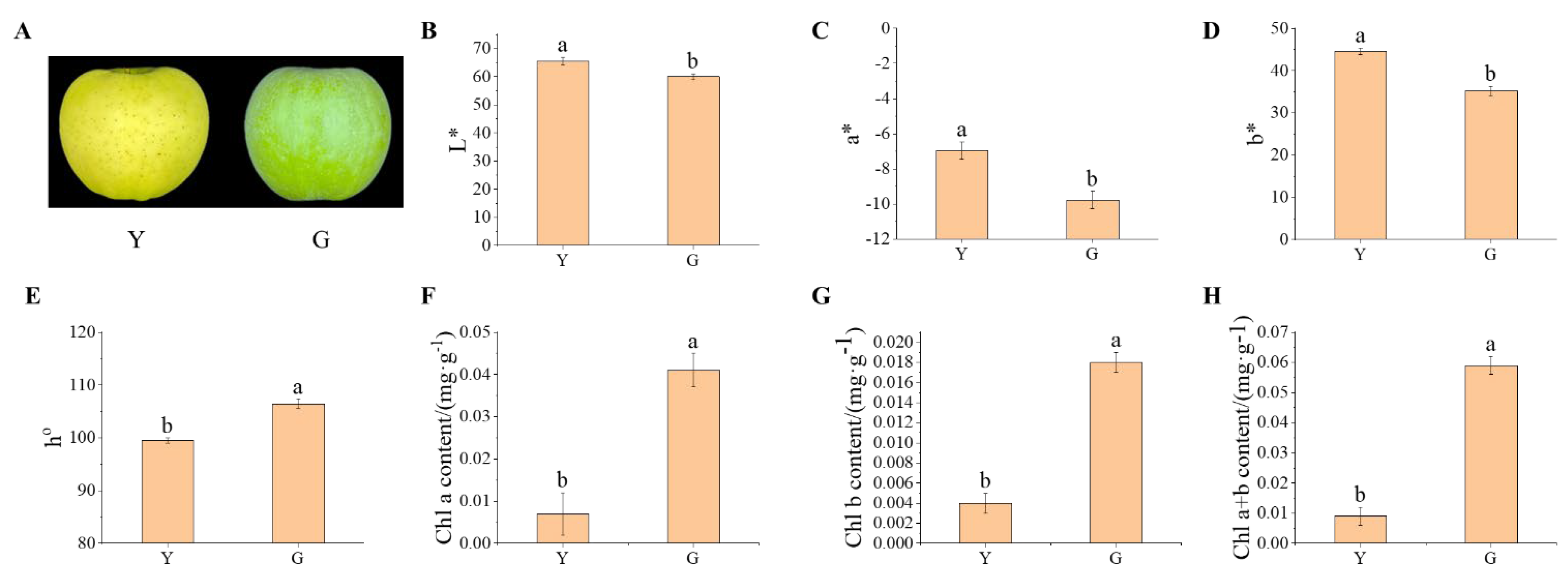 Horticulturae 10 00439 g001