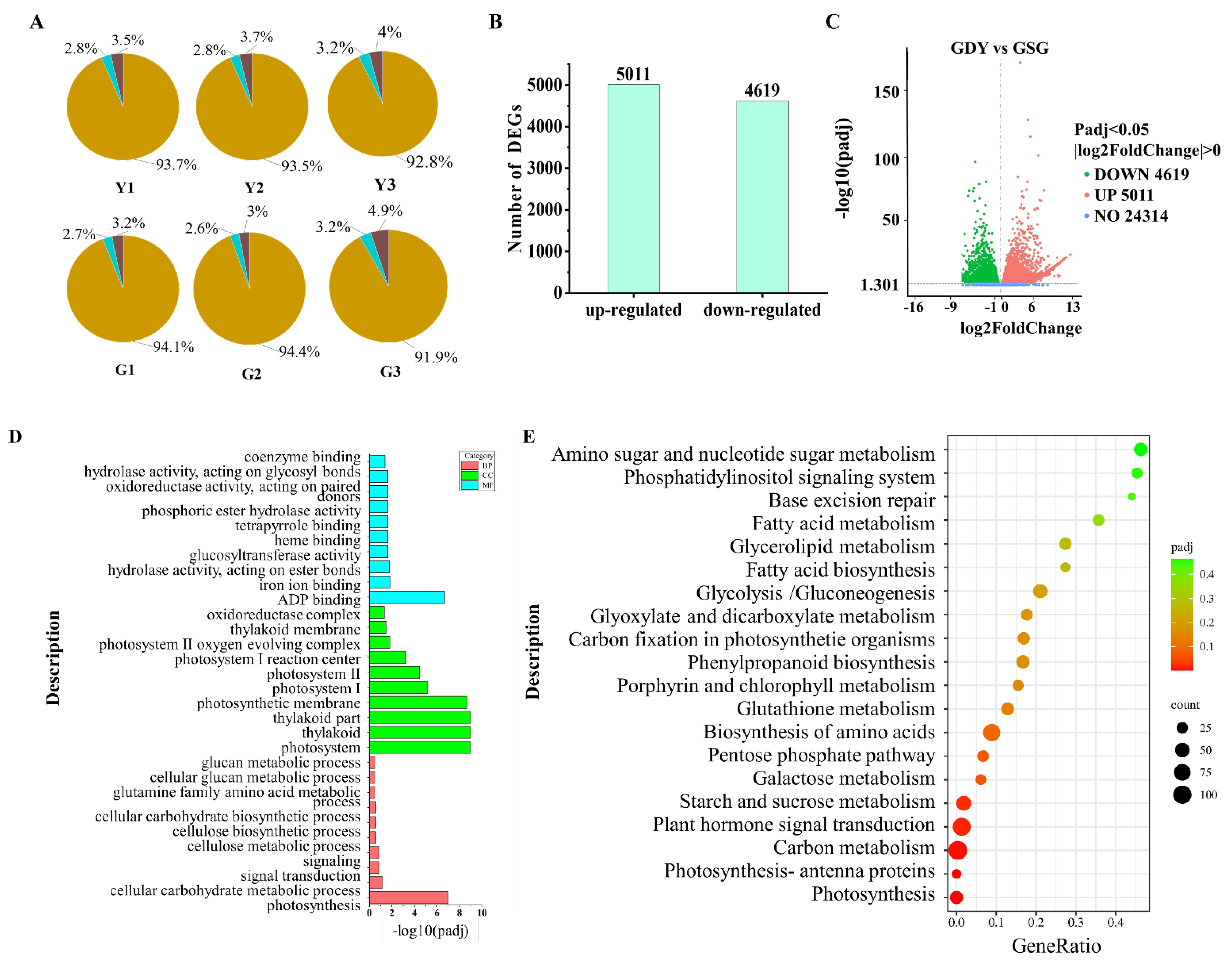 Horticulturae 10 00439 g002