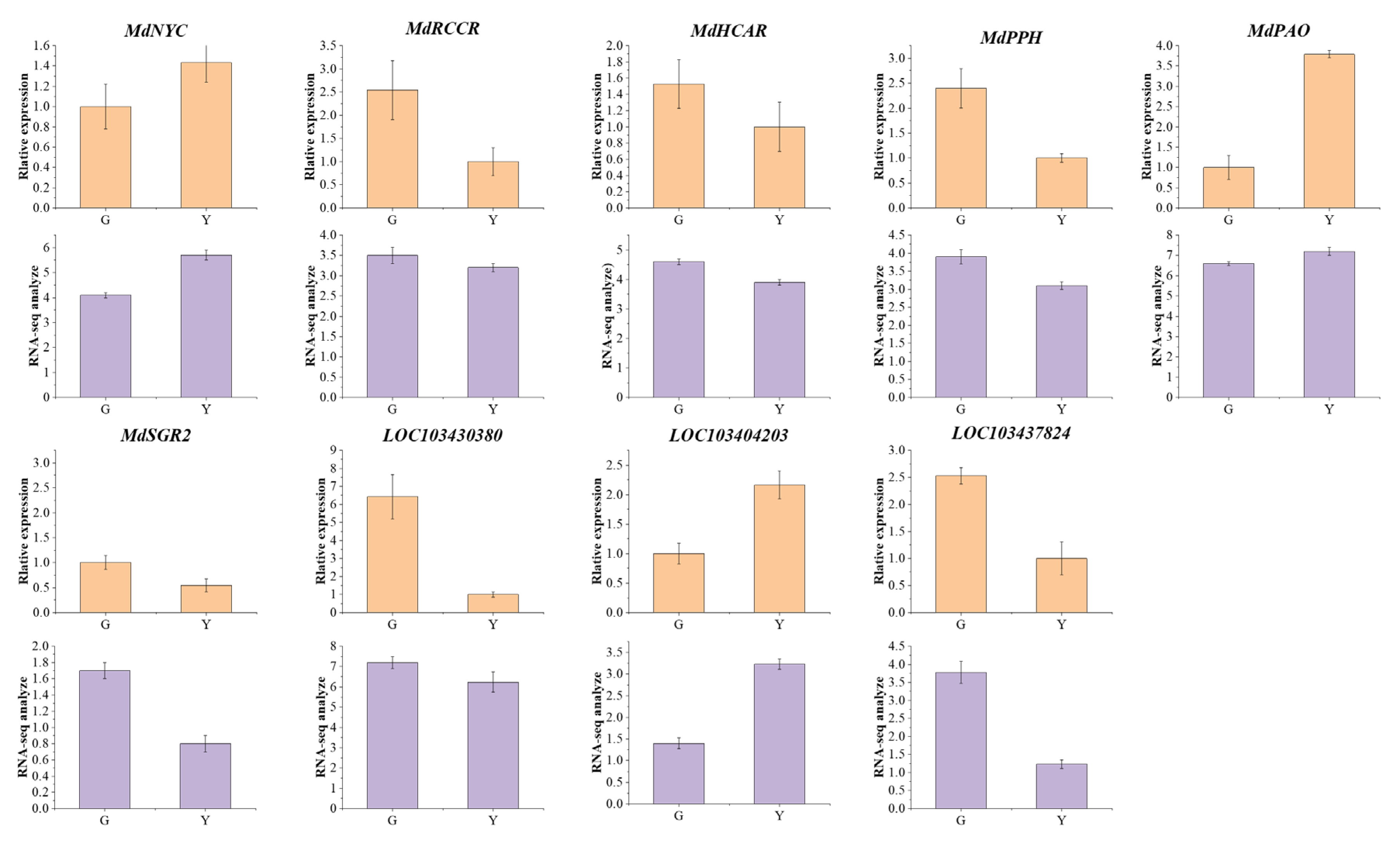 Horticulturae 10 00439 g003