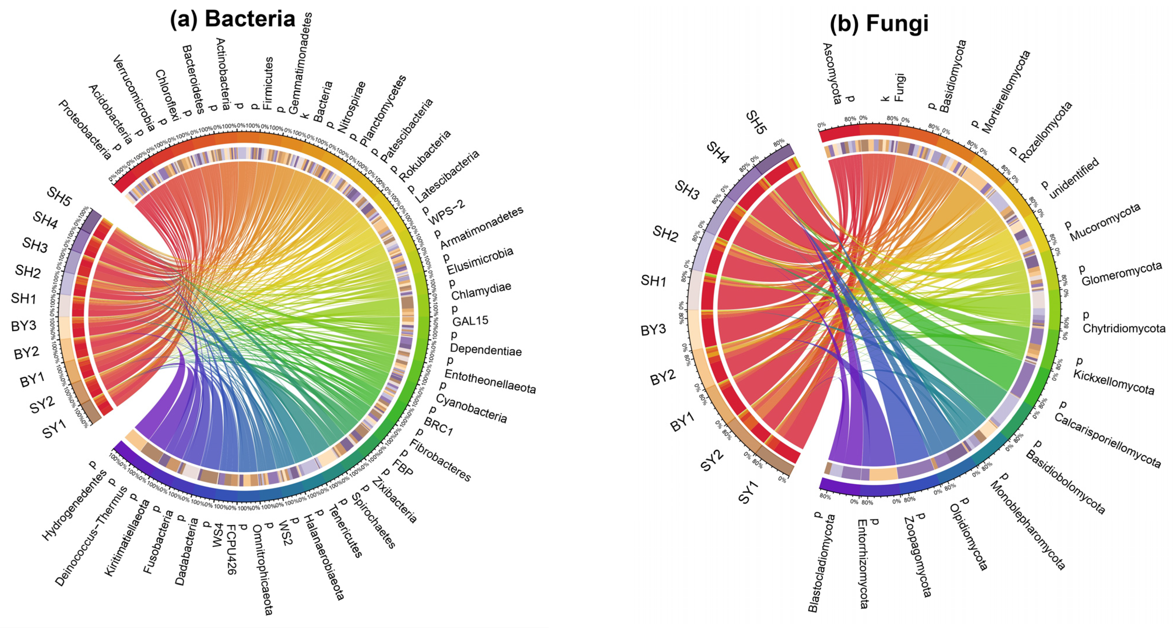 Horticulturae 10 00441 g001