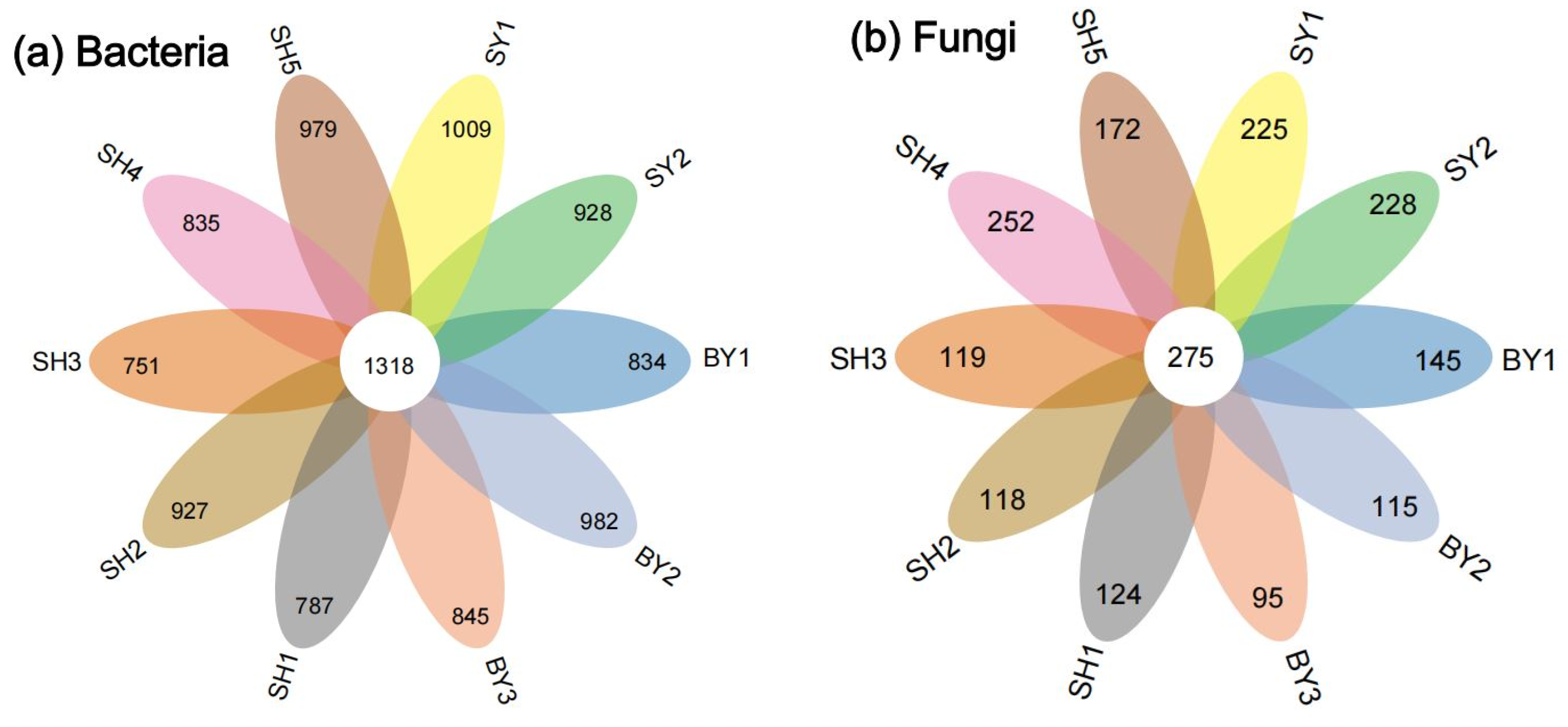 Horticulturae 10 00441 g003