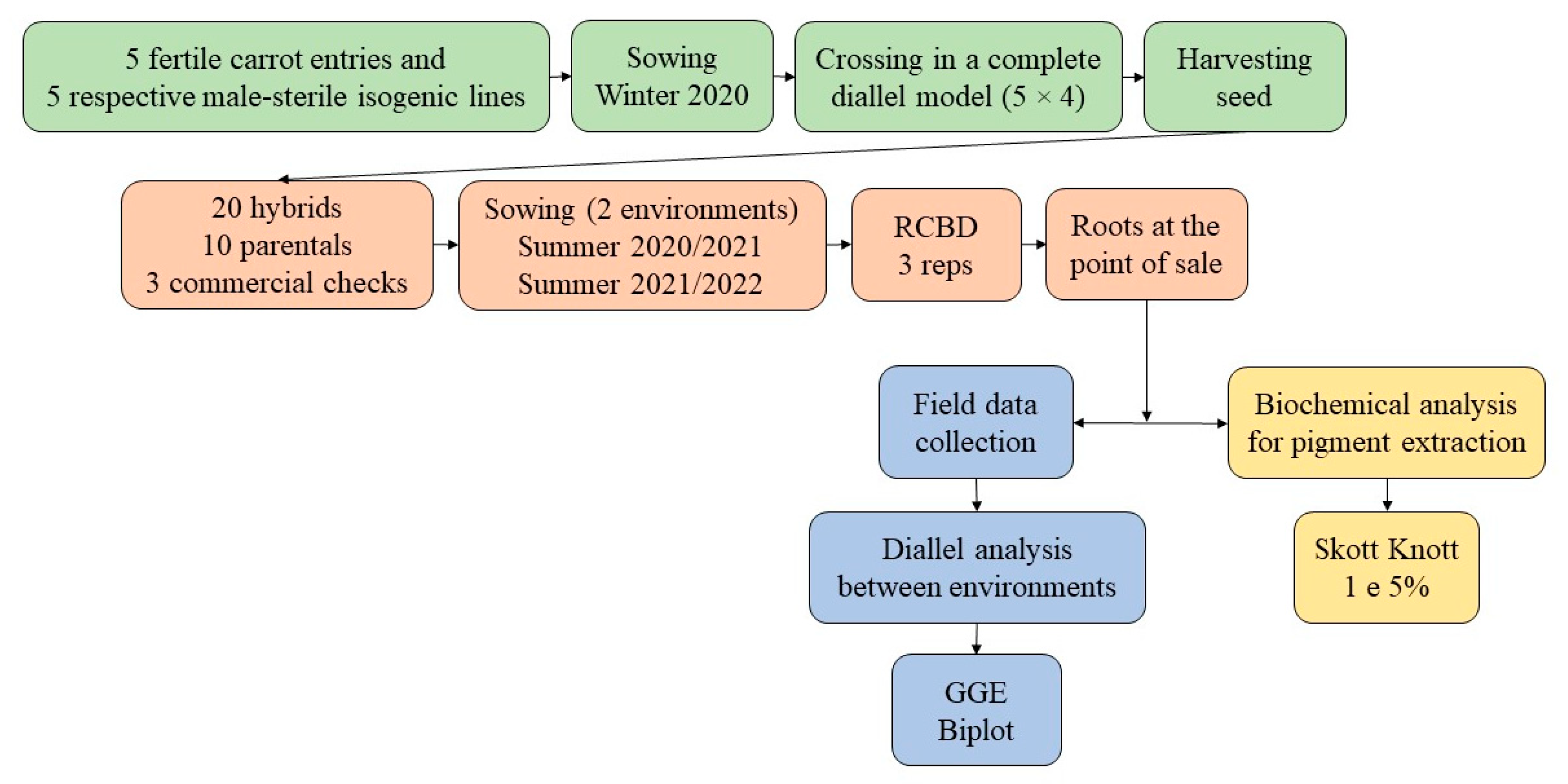 Horticulturae 10 00442 g003 Horticulturae 10 00442 g003