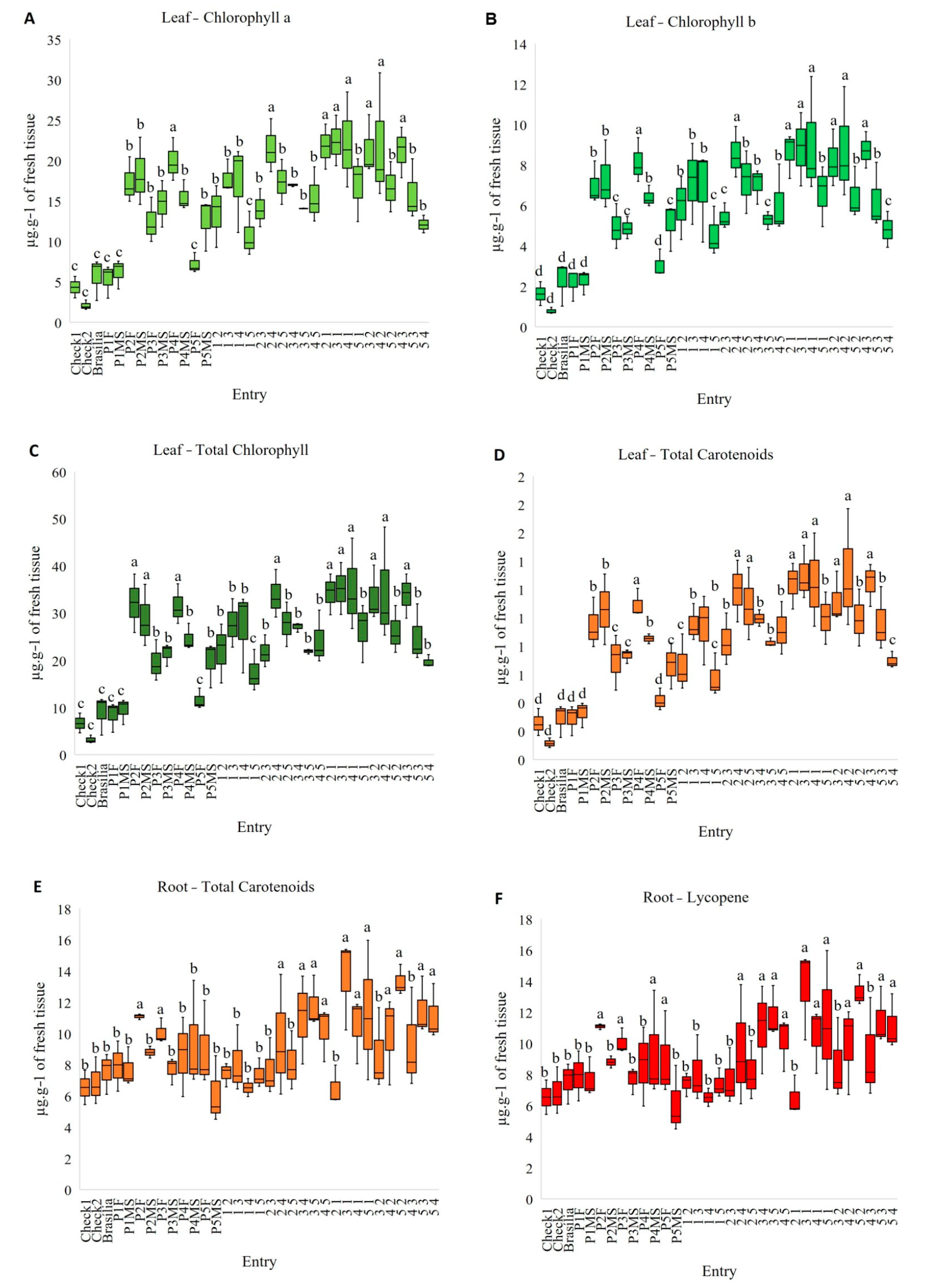 Horticulturae 10 00442 g007 Horticulturae 10 00442 g007