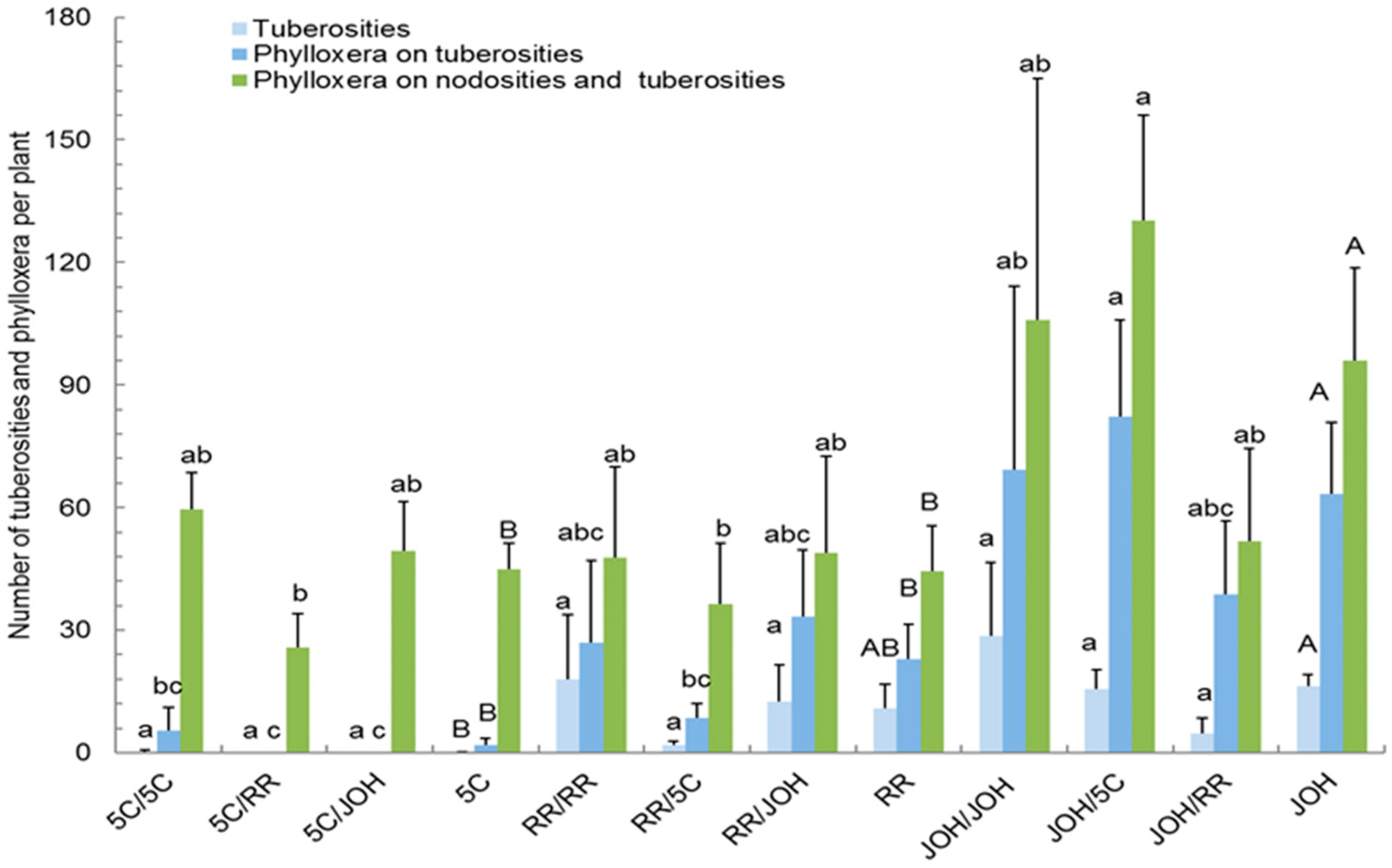 Horticulturae 10 00445 g001