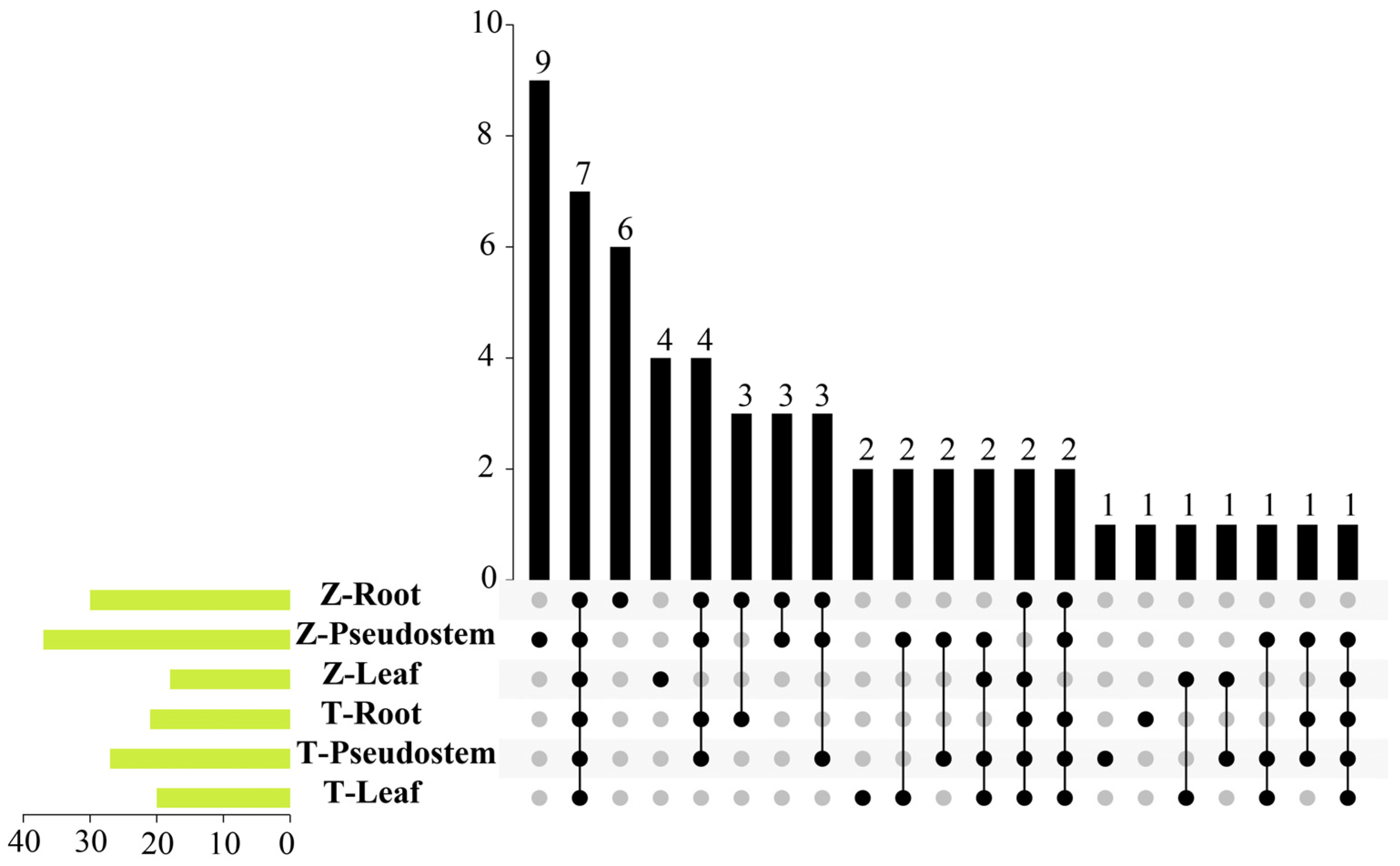 Horticulturae 10 00446 g001