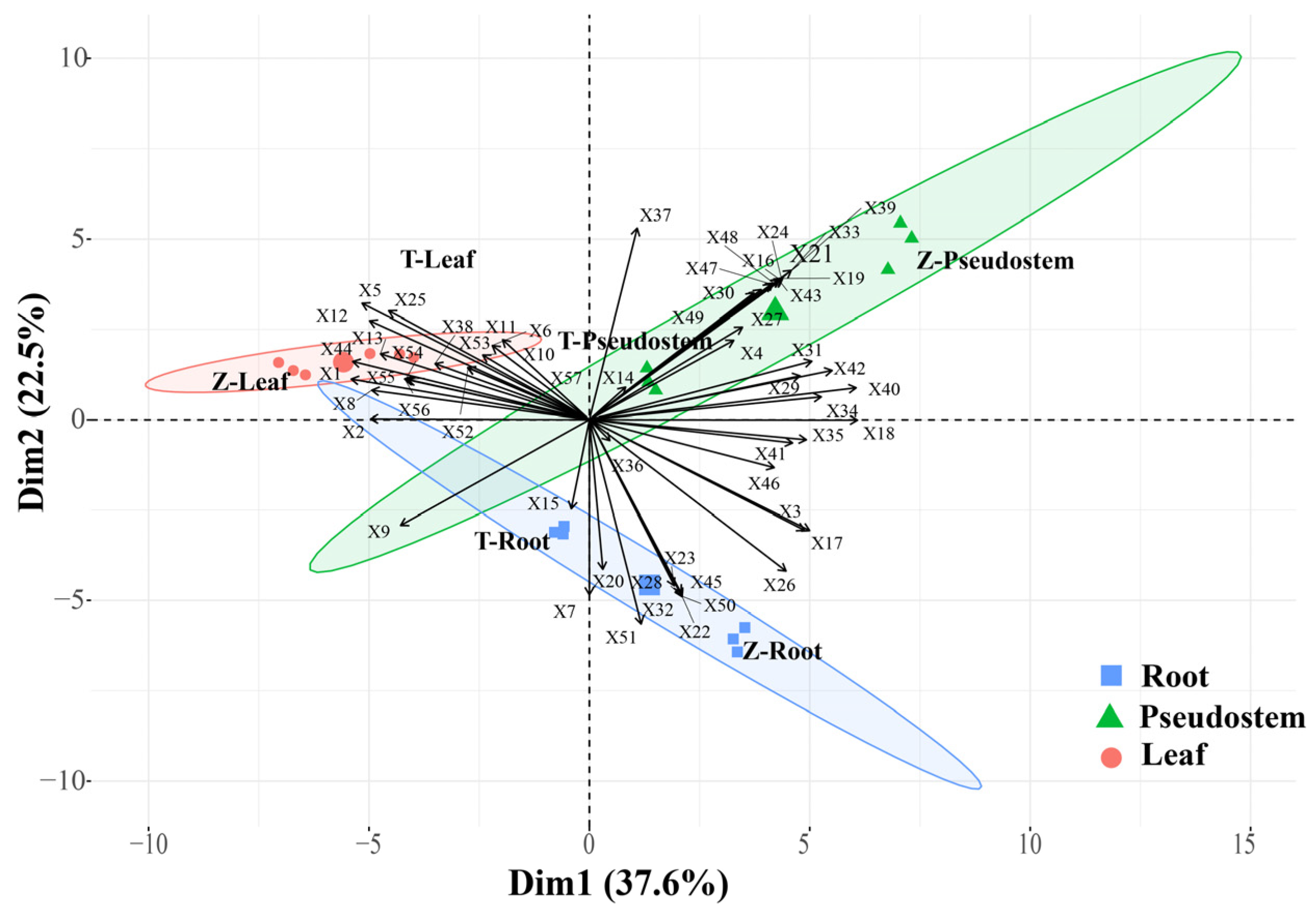 Horticulturae 10 00446 g002