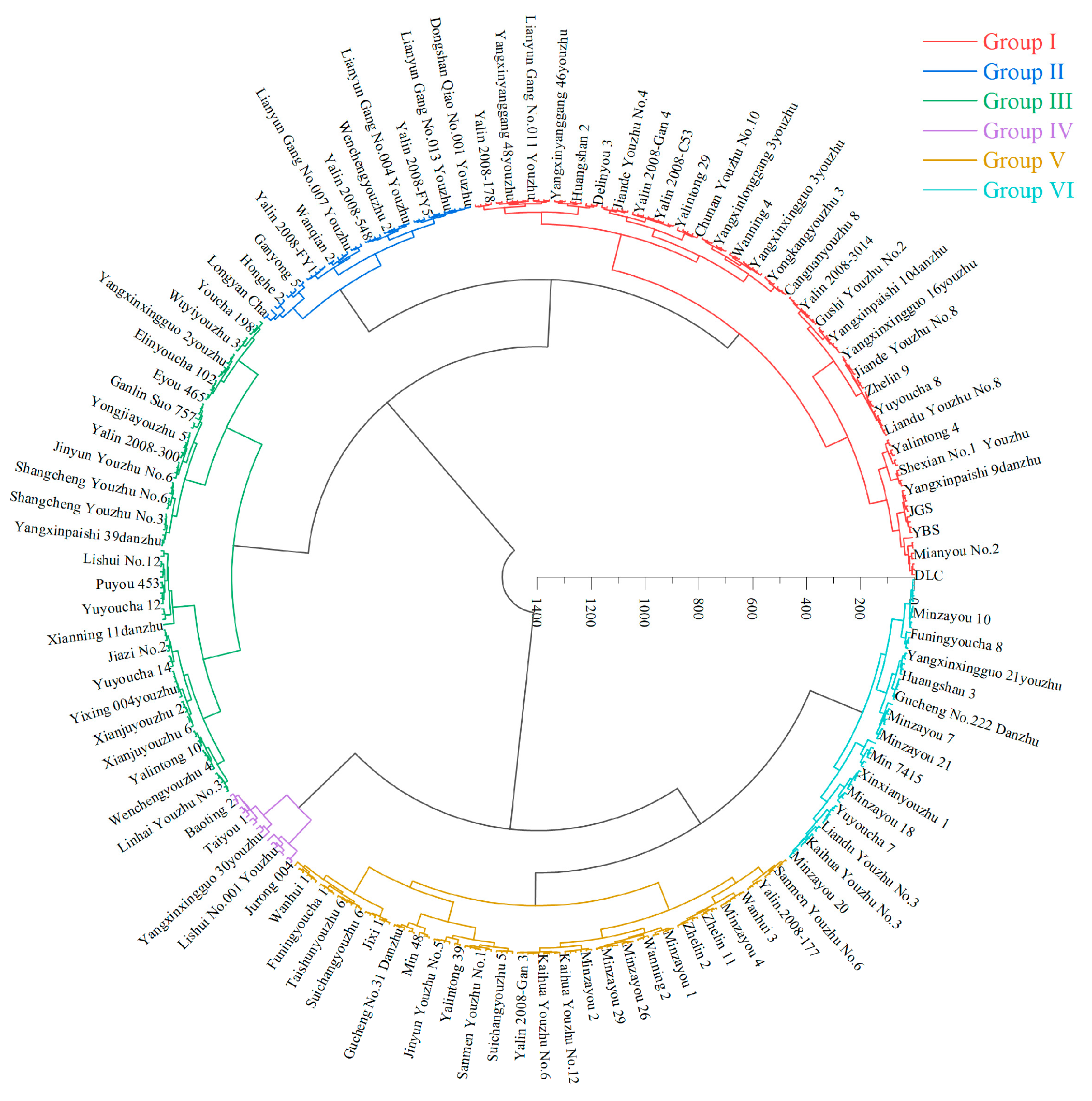 Horticulturae 10 00450 g005