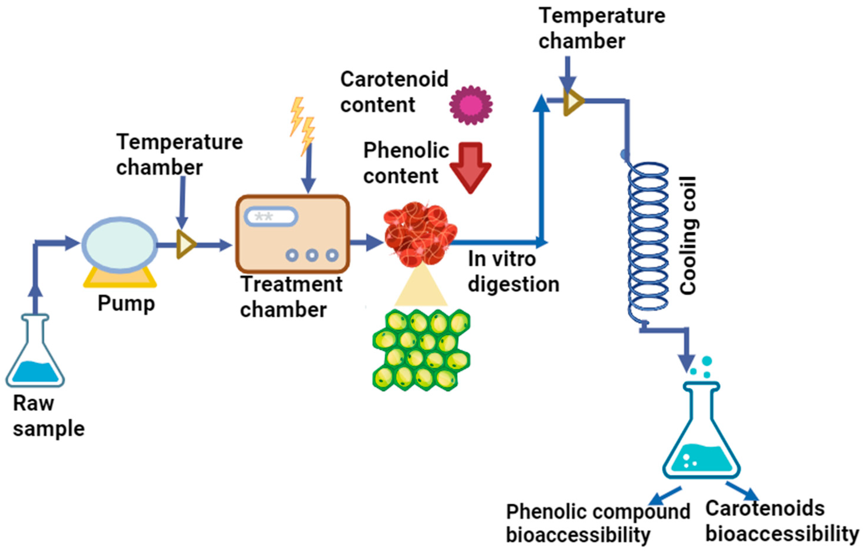 Horticulturae 10 00455 g004