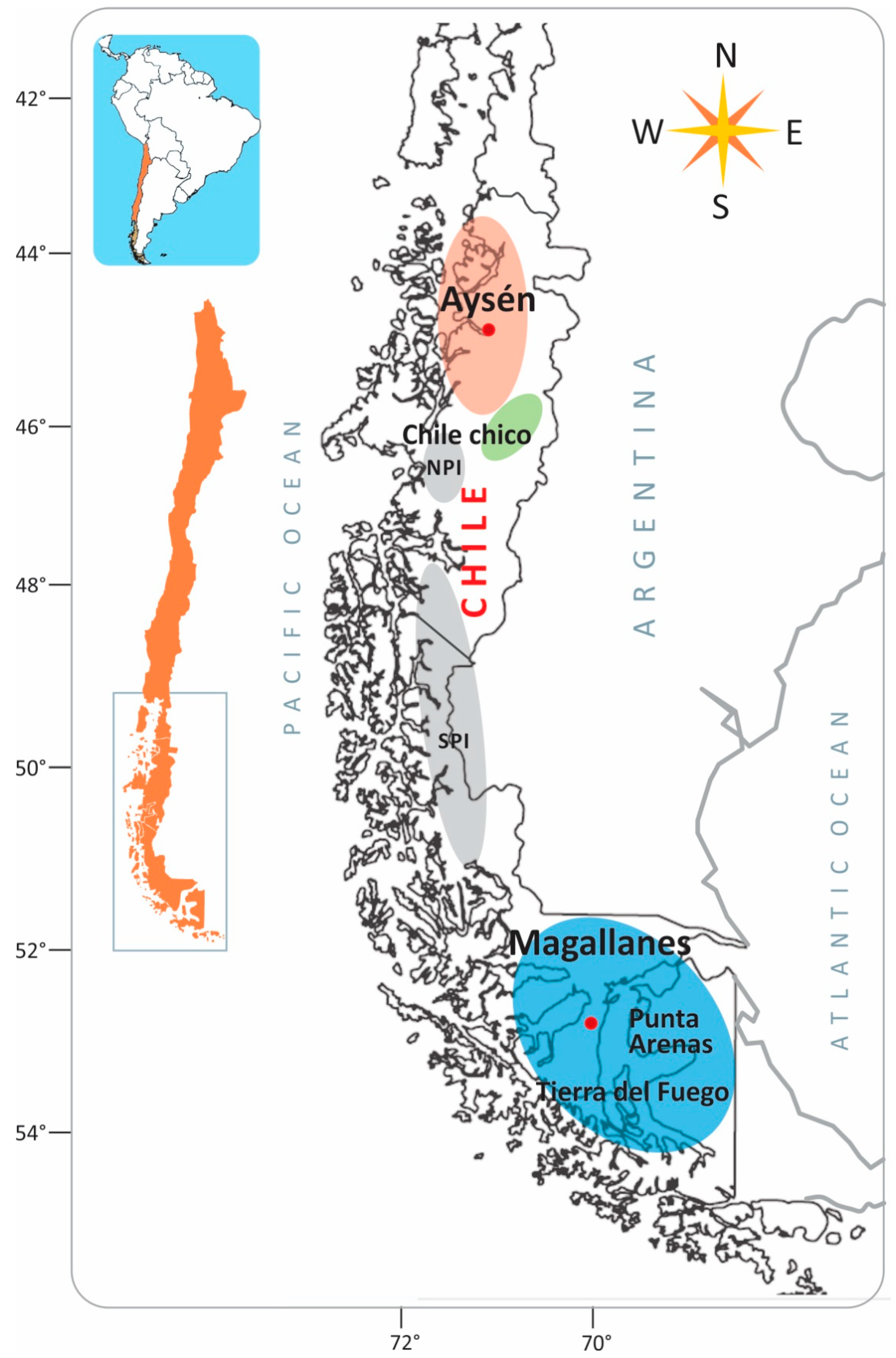 Horticulturae 10 00458 g001