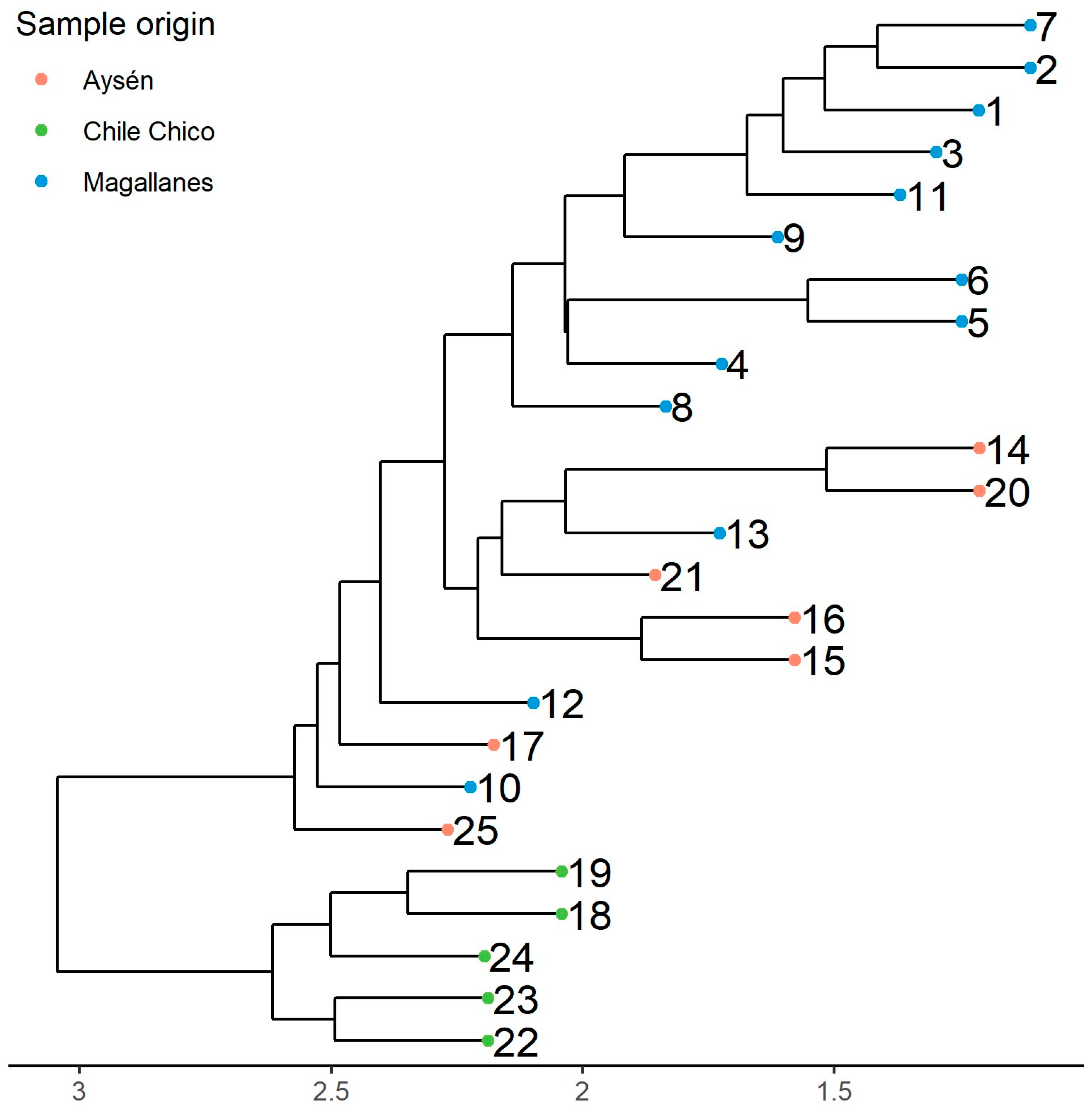 Horticulturae 10 00458 g002