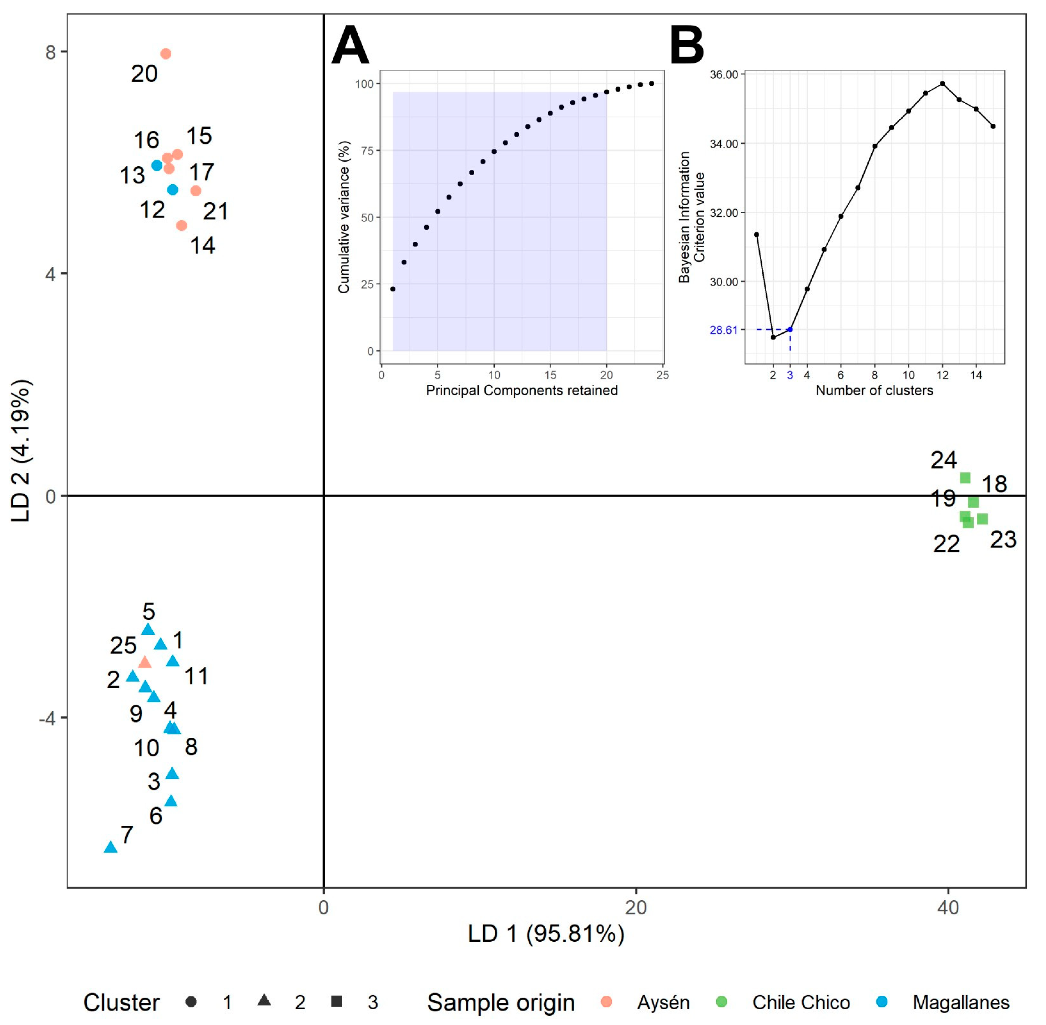 Horticulturae 10 00458 g003