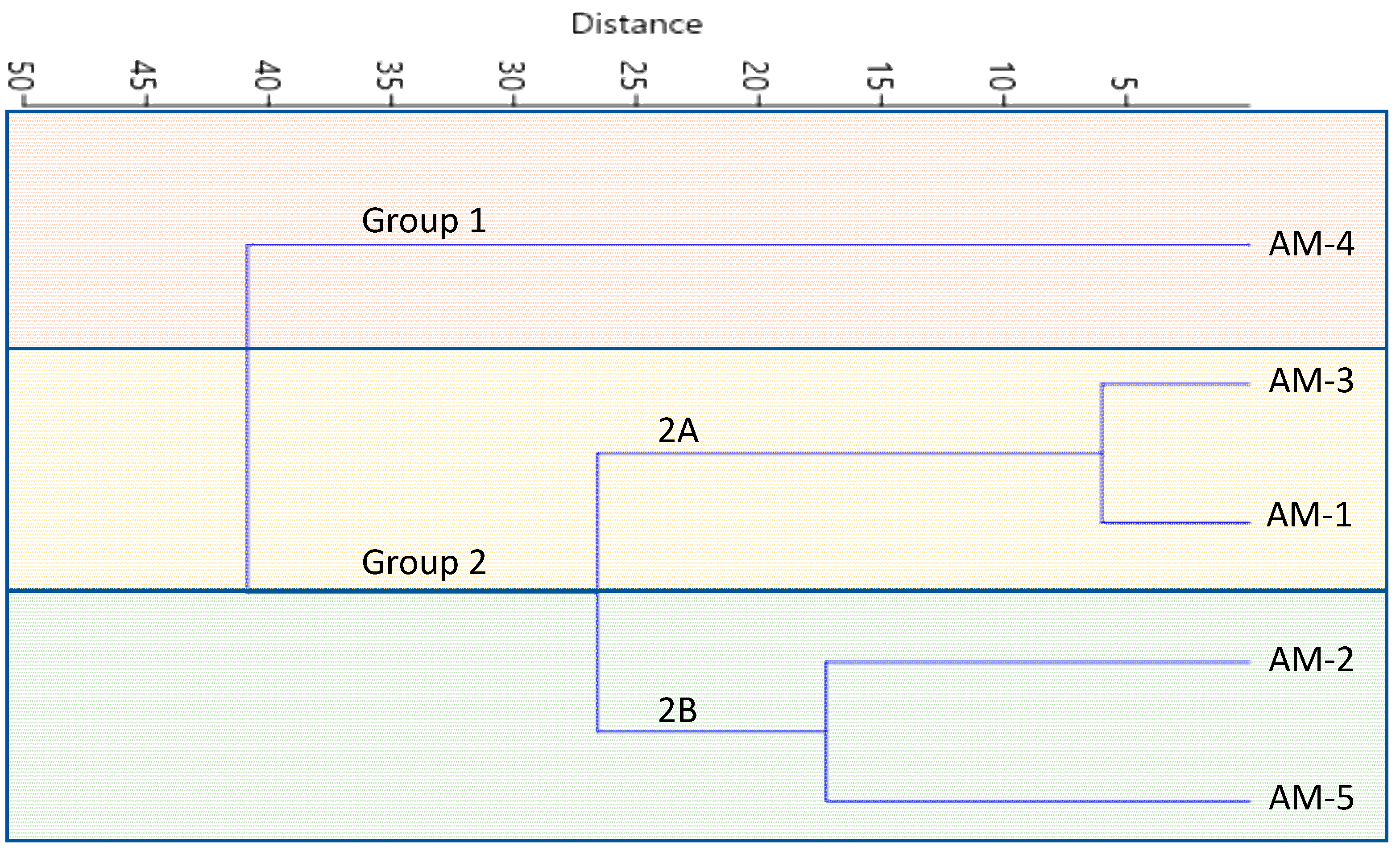Horticulturae 10 00461 g006