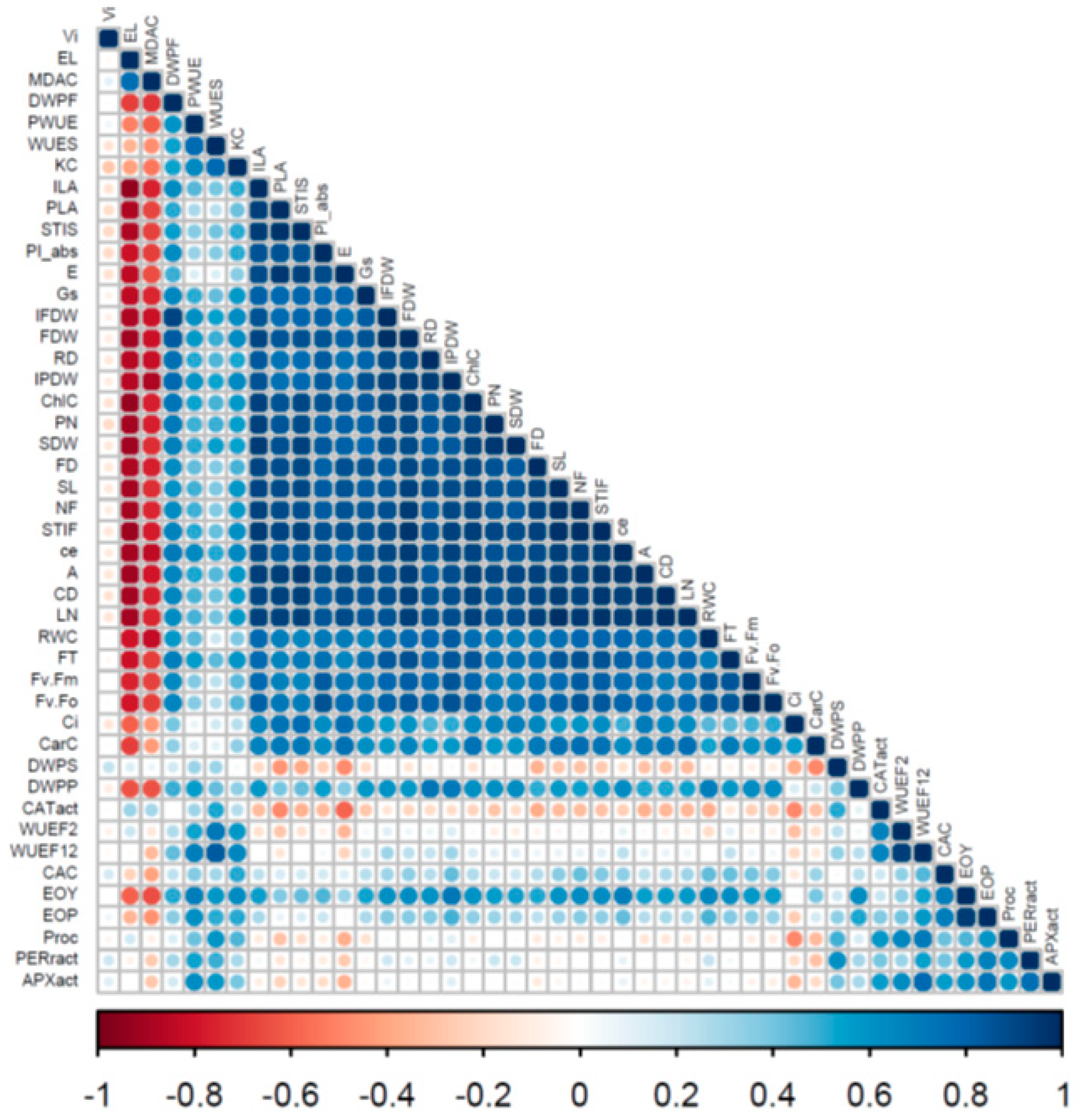 Horticulturae 10 00462 g001